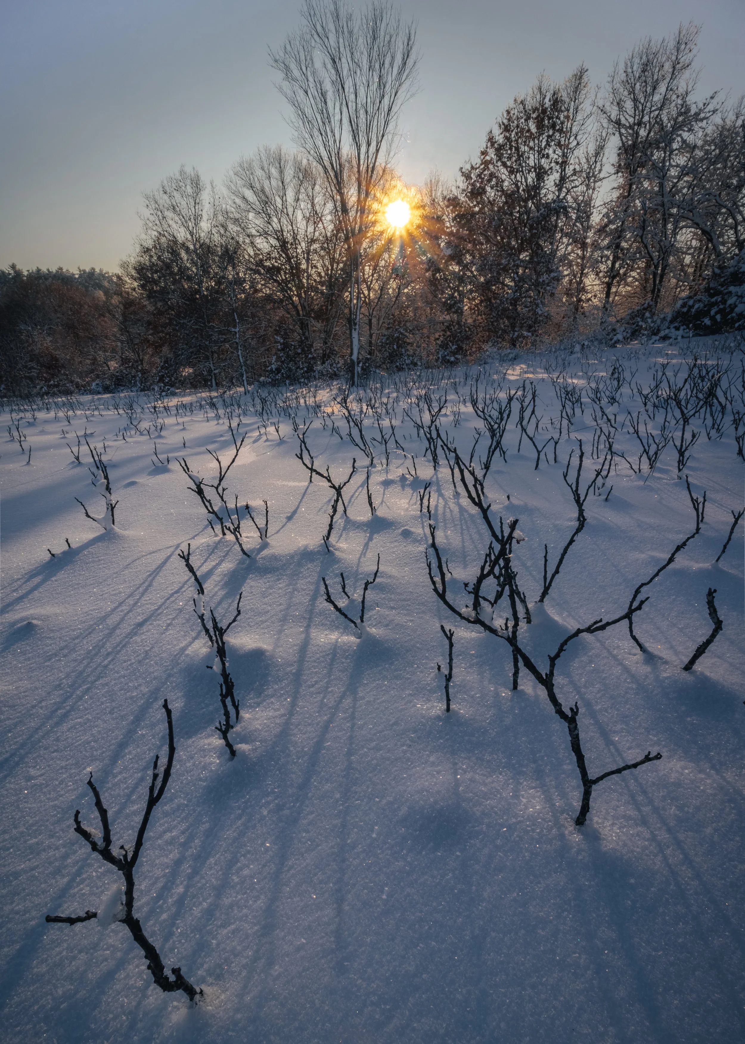 Sumac Sun Dance