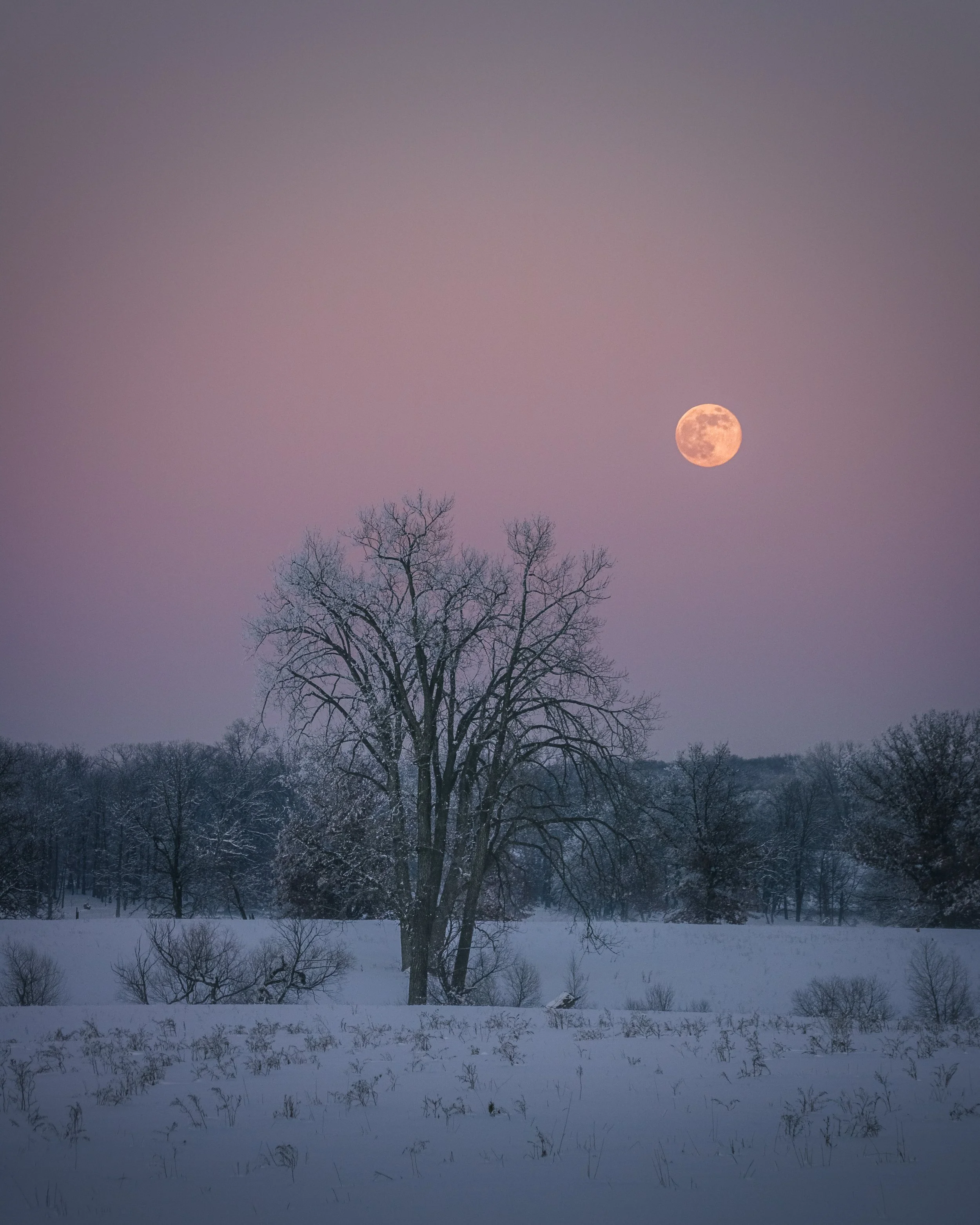 Midwinter Moon