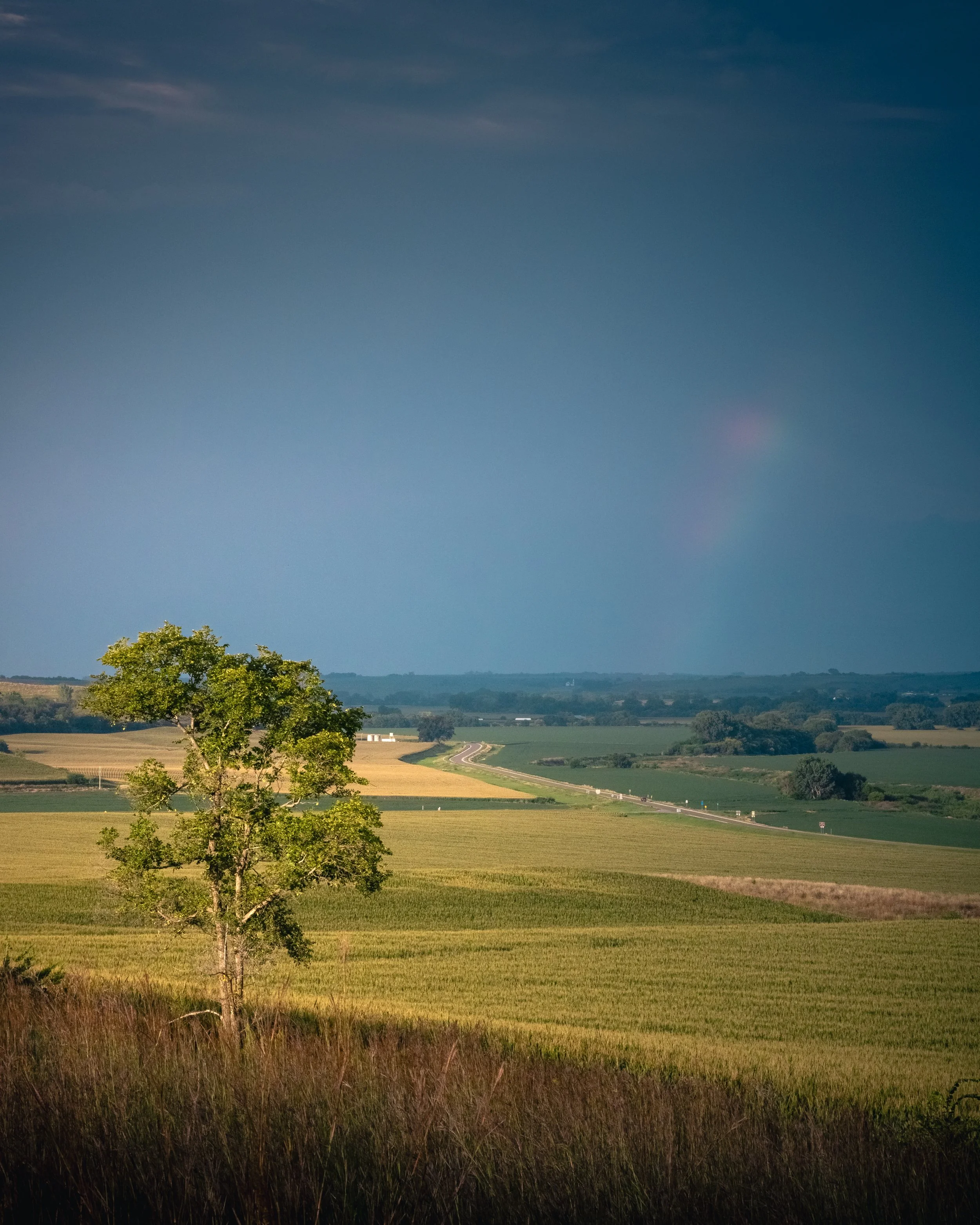 Prairie Polychrome I