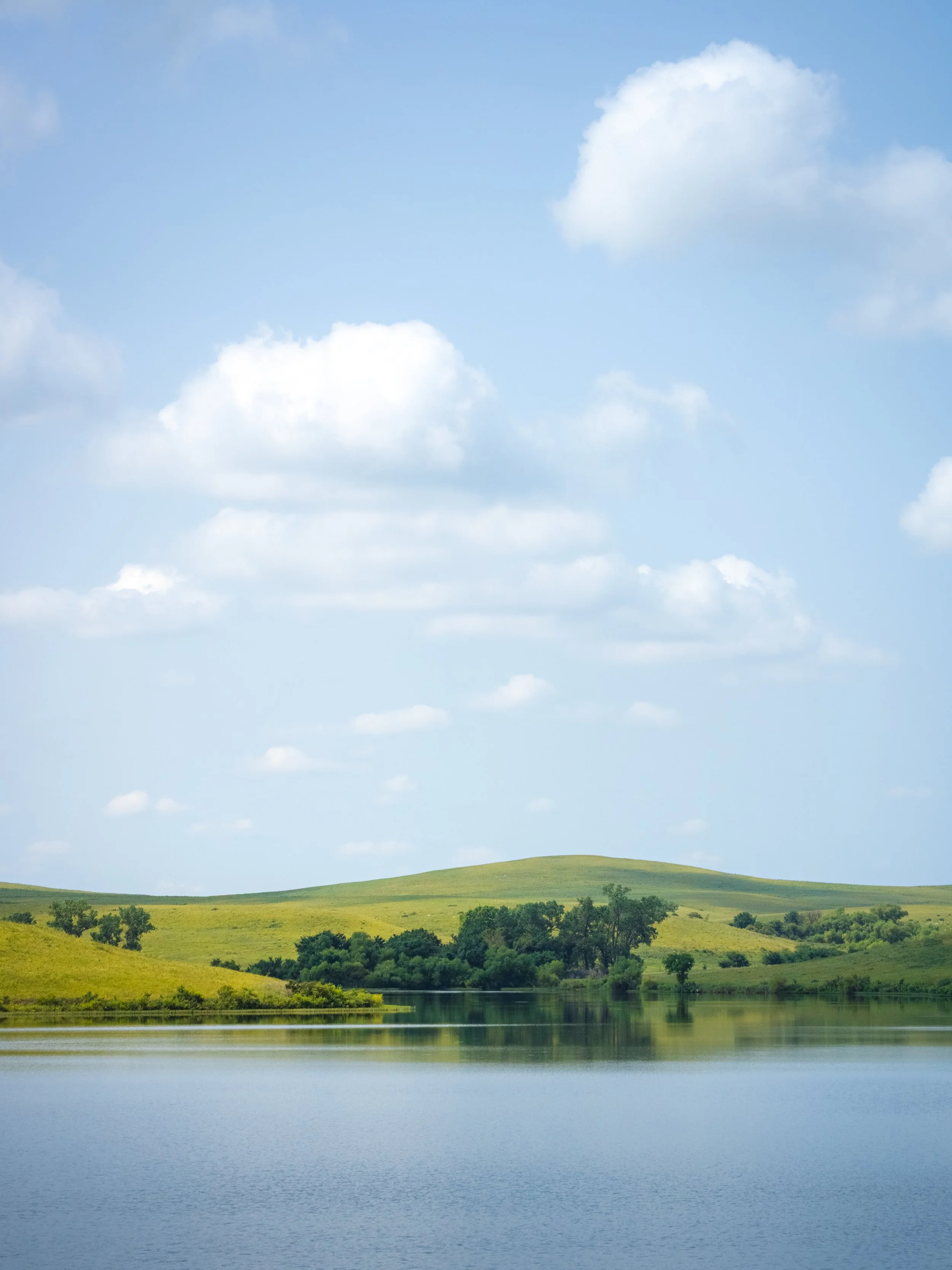 Tallgrass Shoreline