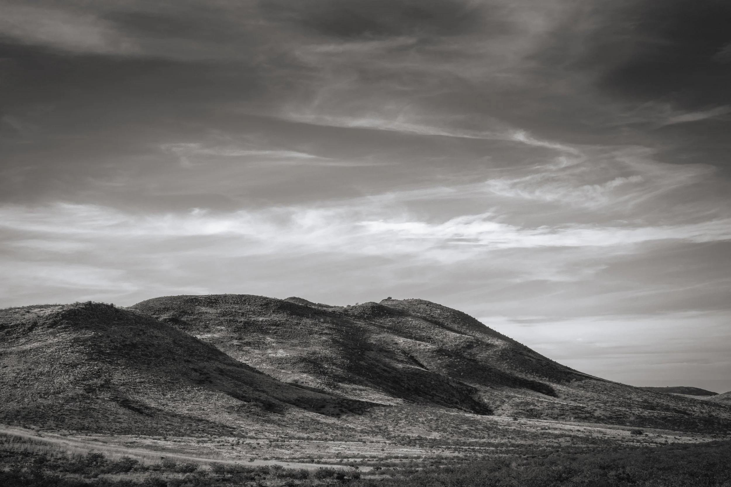 Among Desert Hills (monochrome).jpg