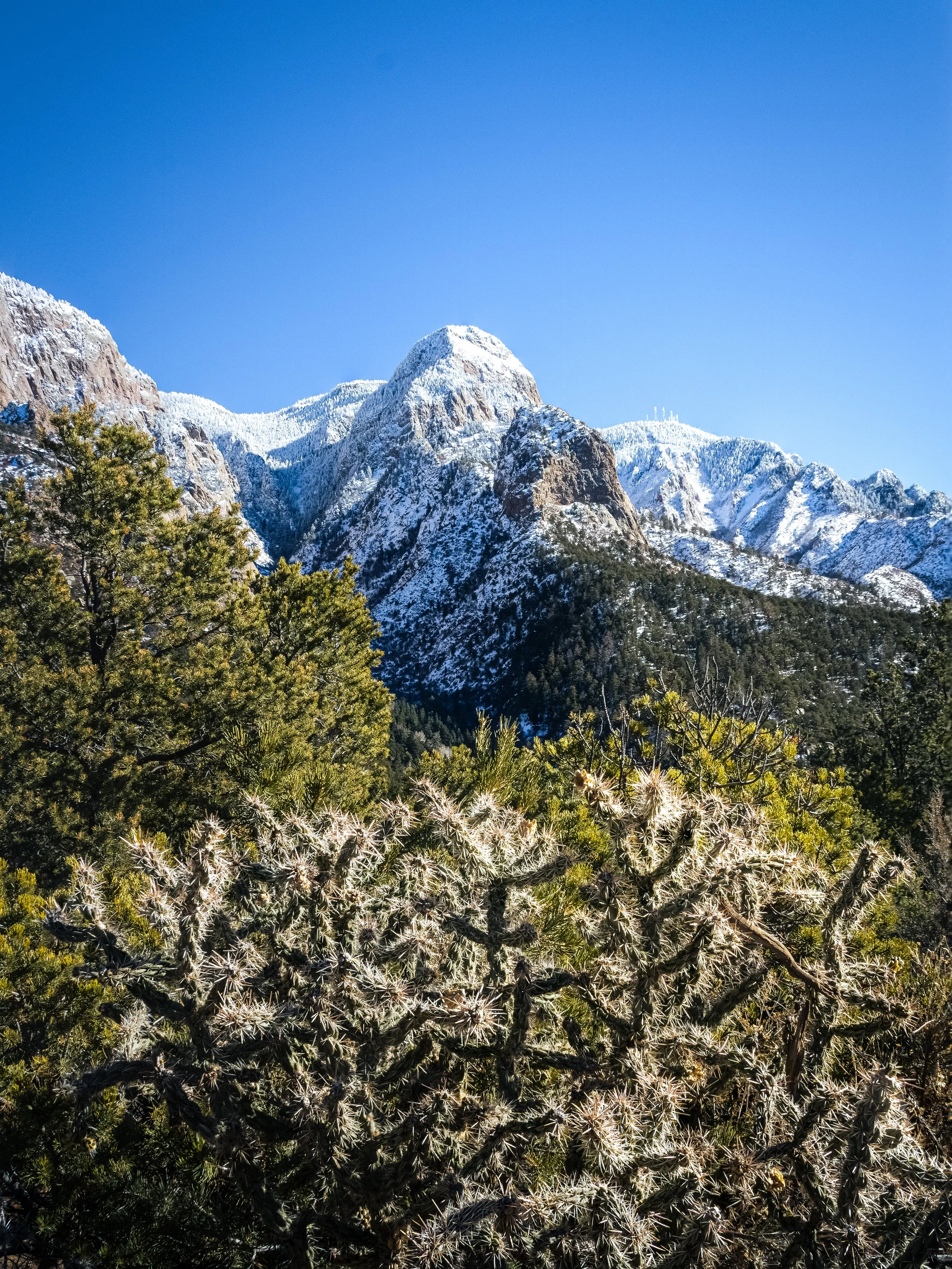 Sandia Freeze