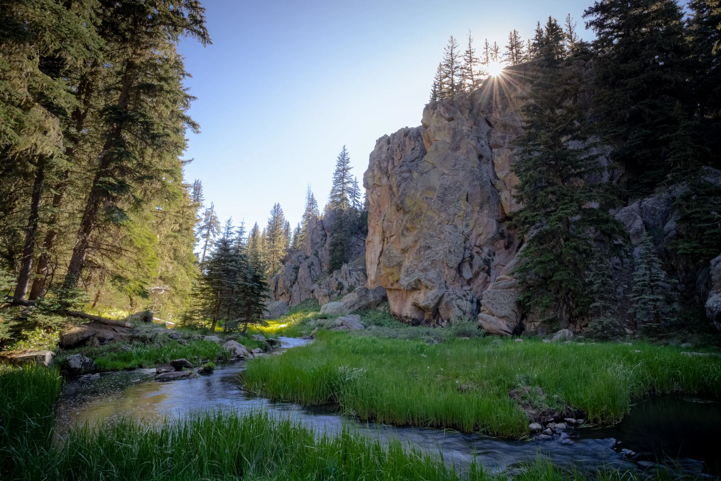 Jemez Headwaters