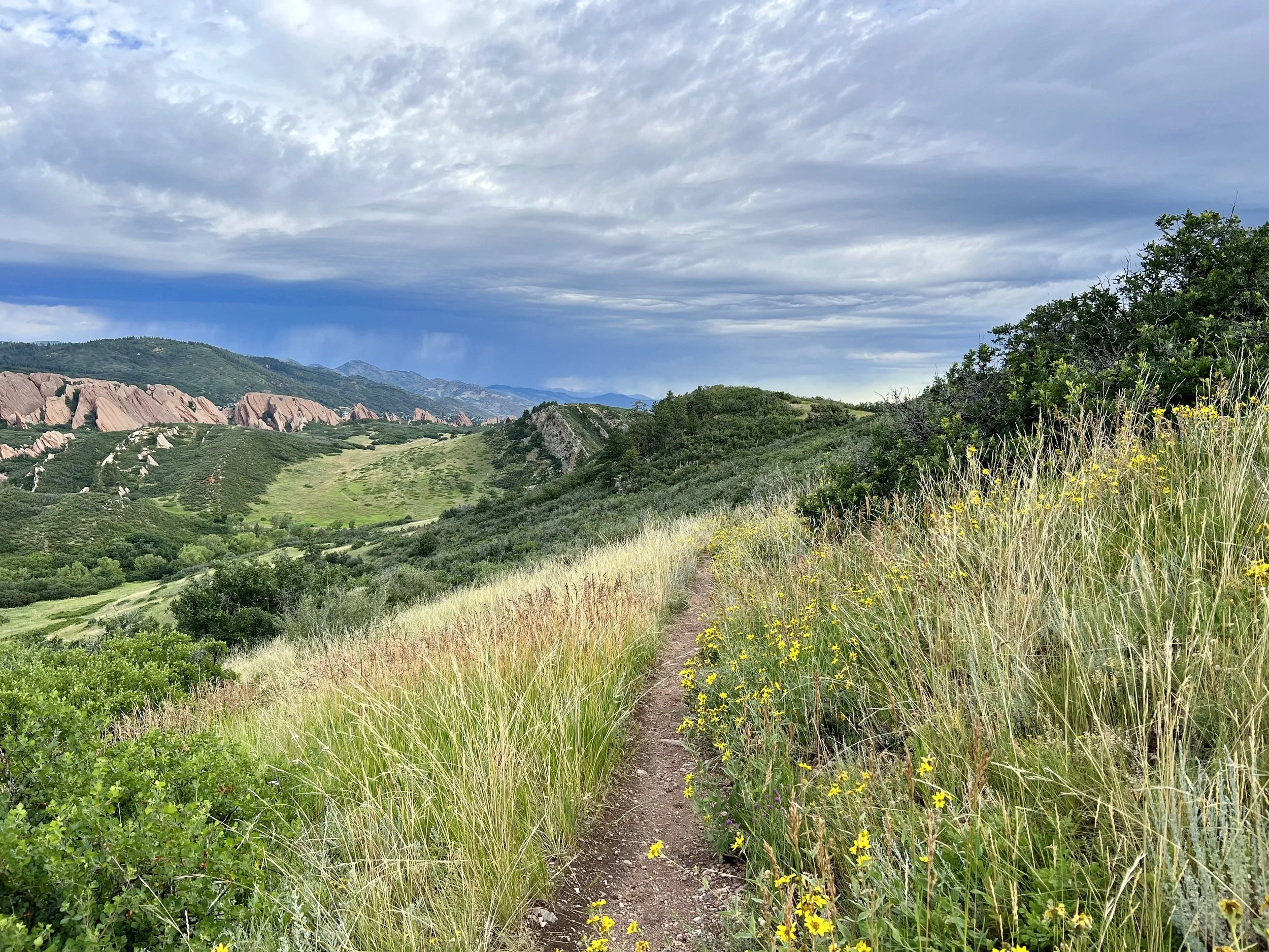 A dirt trail winds through grassy hills with yellow wildflowers, with green shrubs and trees on either side. Rocky mountains and a cloudy sky are in the distance.