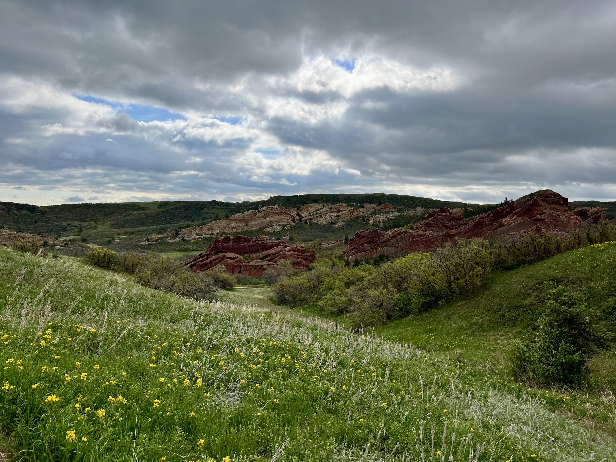 Green grassy hillside with yellow wildflowers leading to red rock formations and rolling hills under a cloudy sky.