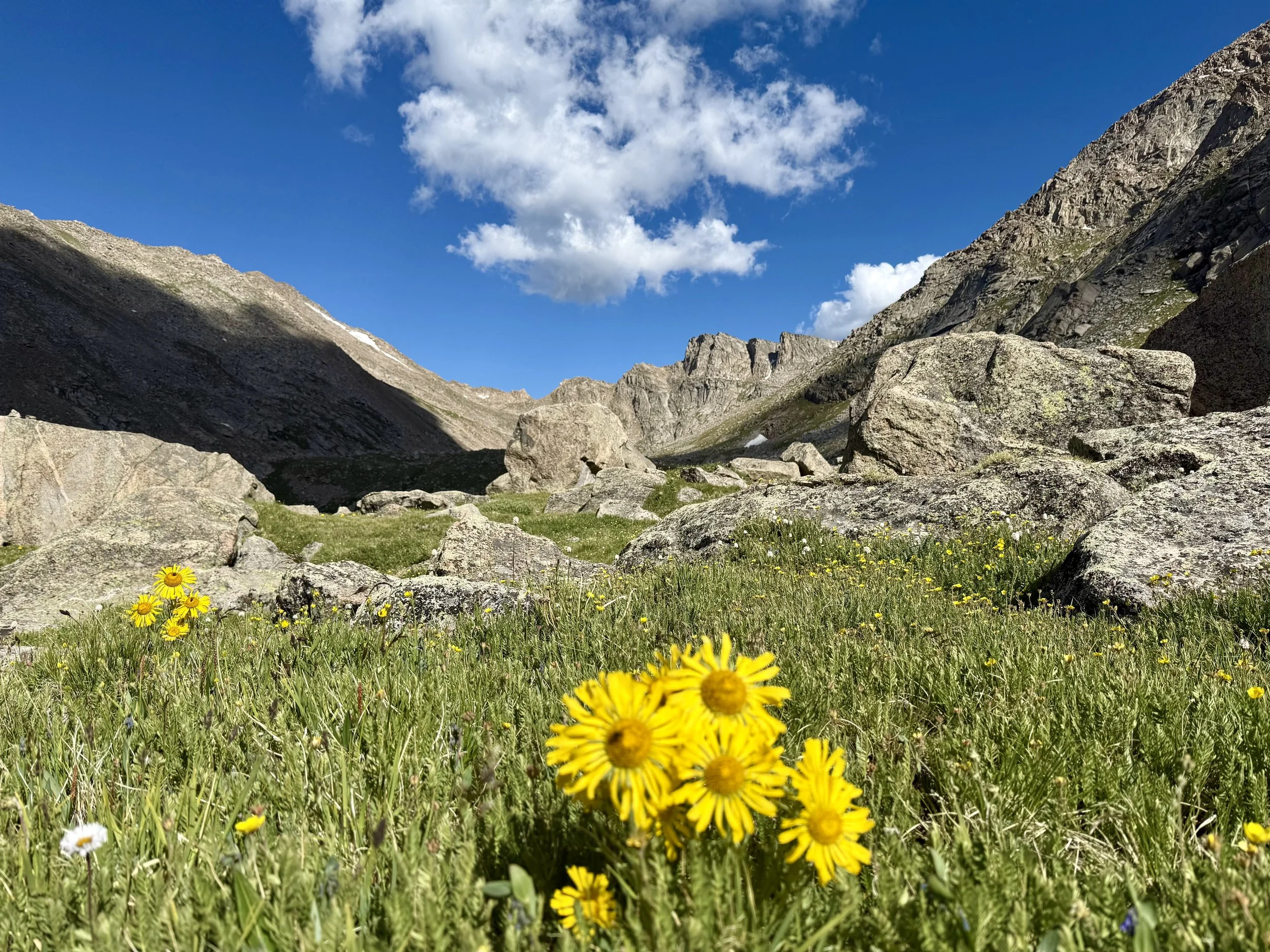 A mountain valley with large rocks and patches of grass, yellow flowers in the foreground, and a blue sky with scattered clouds.
