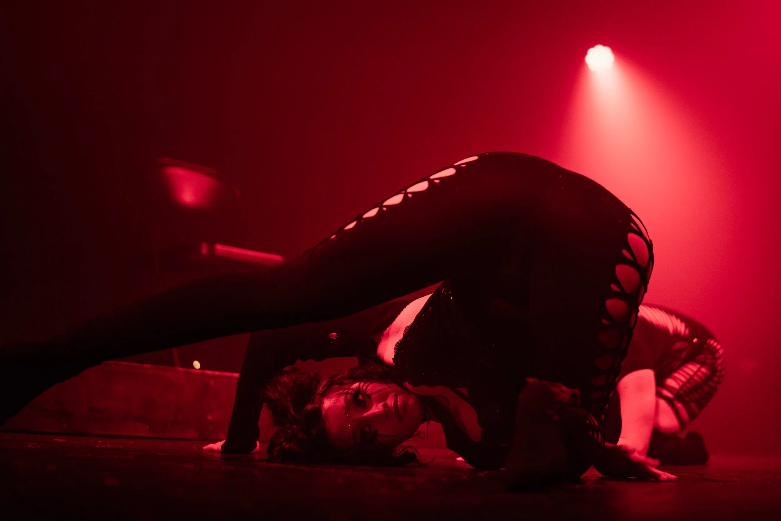 09 polepixie_kat,littlespookywolf_9511.jpg