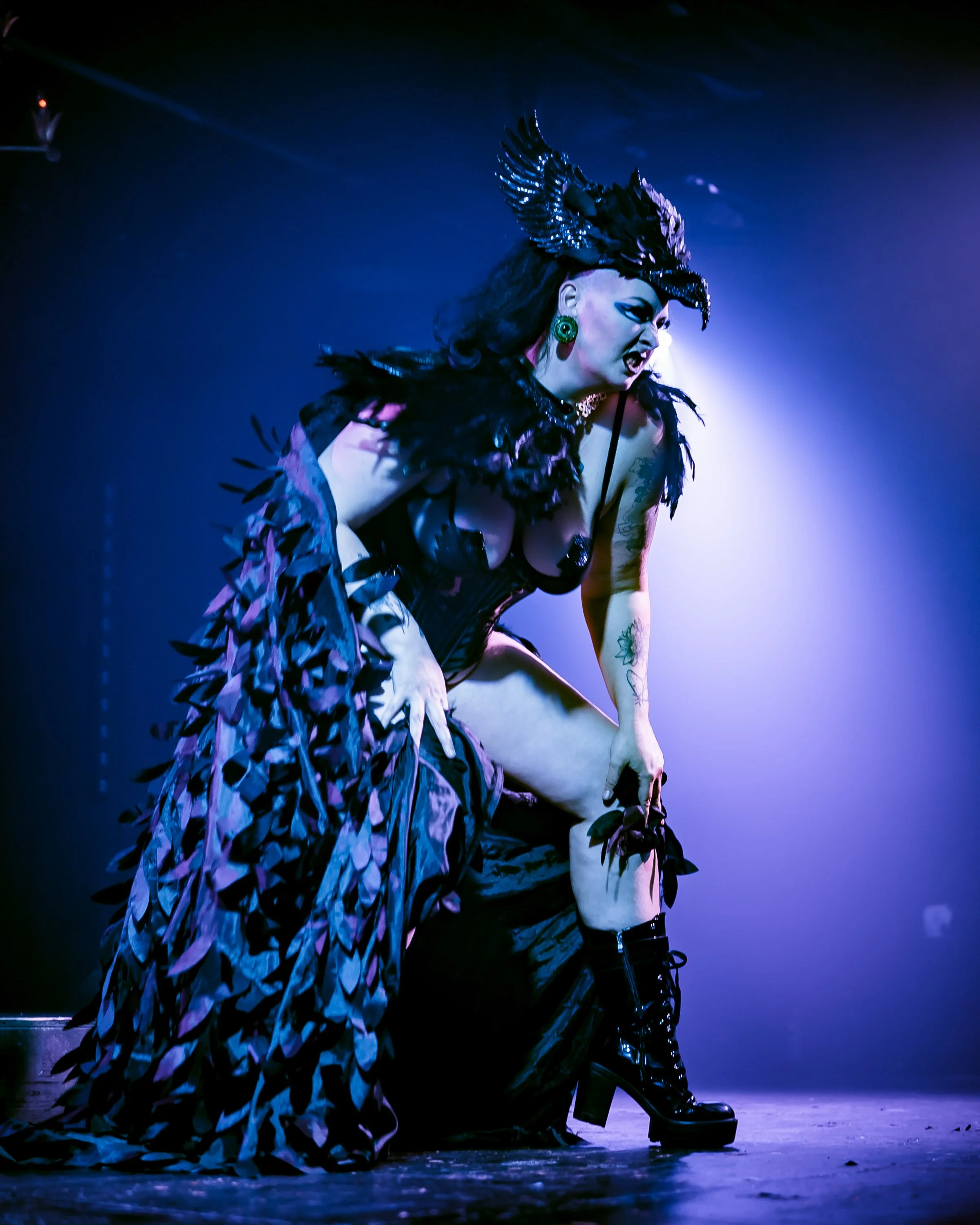 04 whisper_de_corvo_8046.jpg