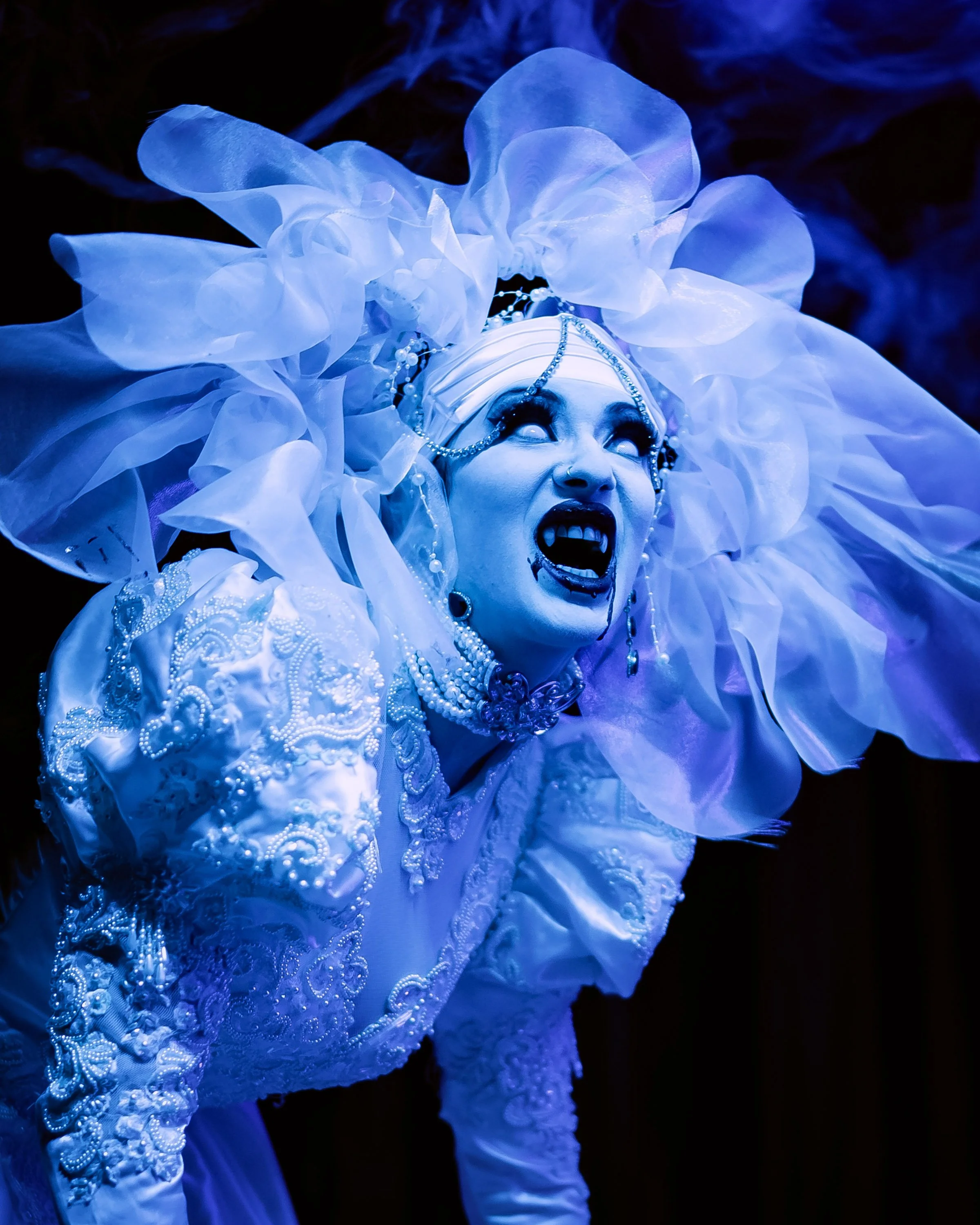 01 kikilemeow_7130.jpg