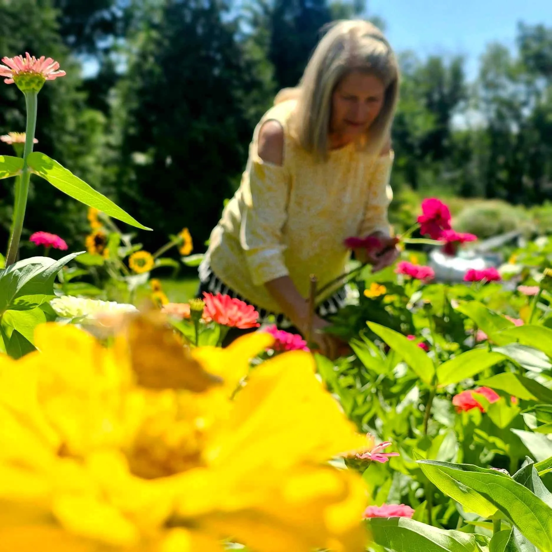 A woman in a yellow top looking at pink flowers in a garden with green plants, trees, and a blue sky in the background, with a yellow flower and a butterfly in the foreground.