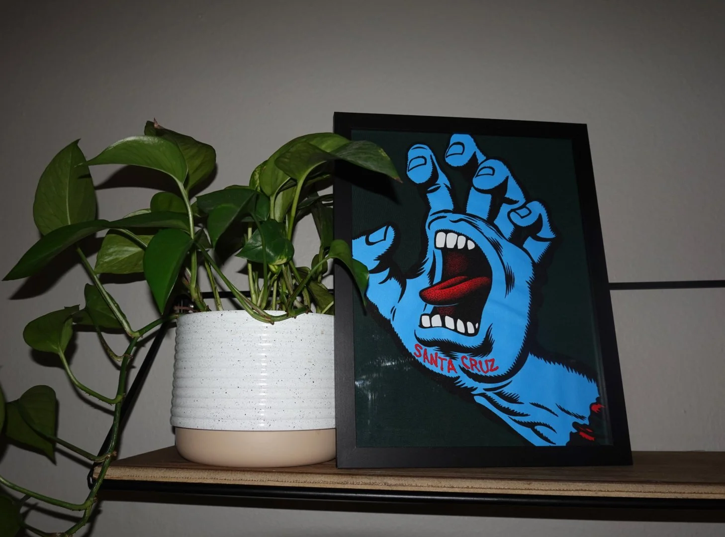 Framed Santa Cruz Graphic (1985)