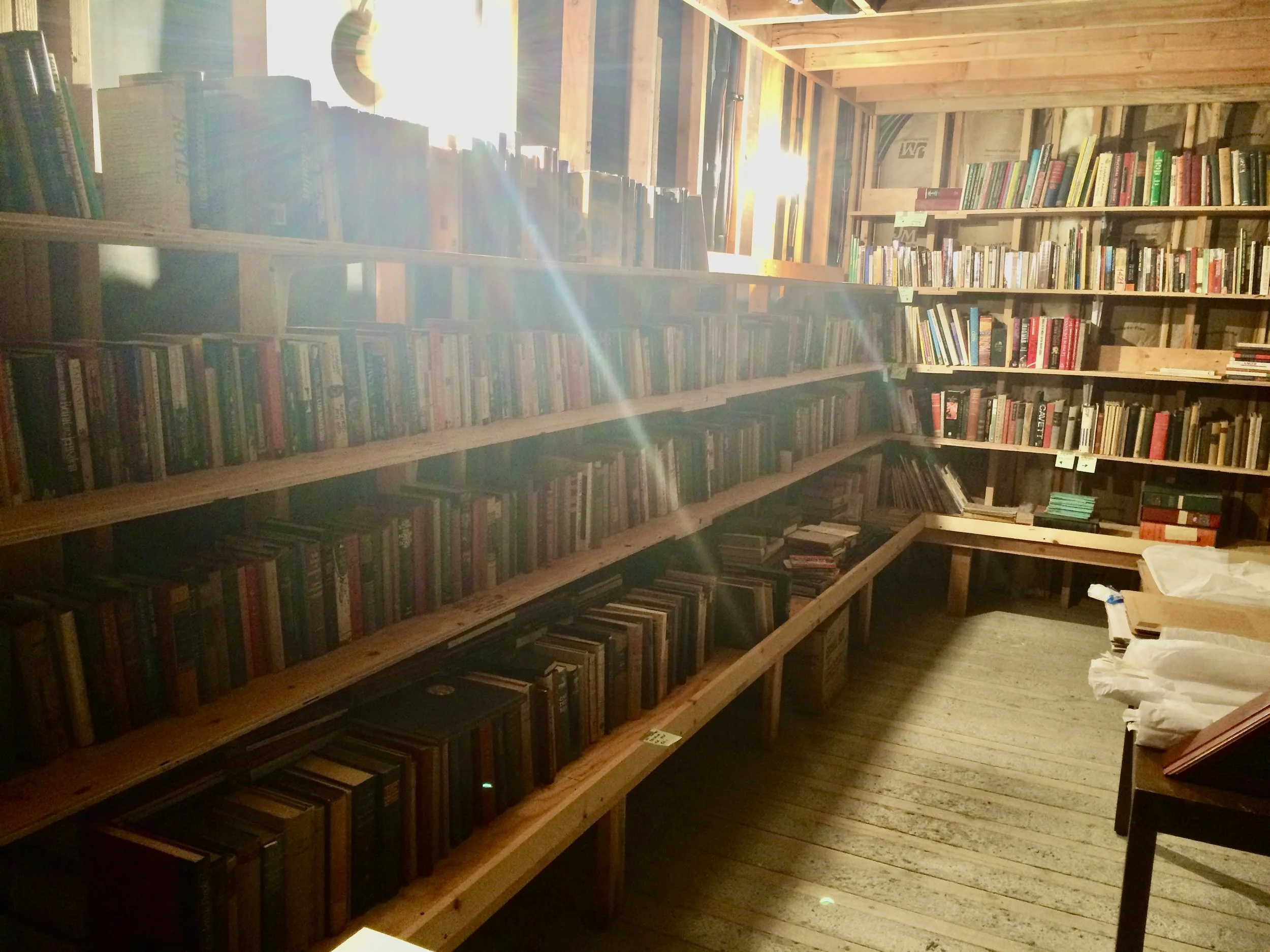 A cozy bookstore with wooden shelves filled with books, sunlight streaming through a window and creating a lens flare, and a wooden floor.