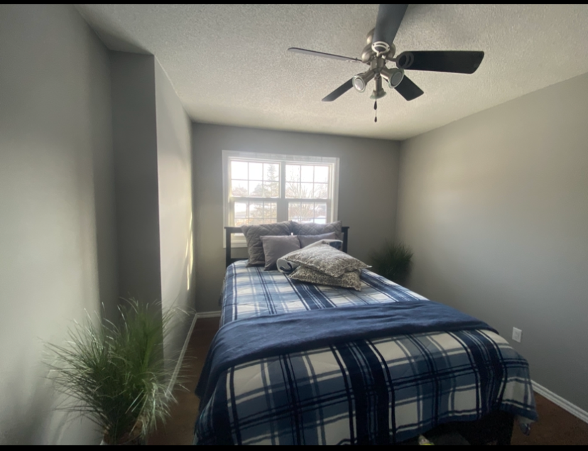 A cozy bedroom with a window, a bed with blue plaid bedding, pillows, a ceiling fan, and green plants in the corners.