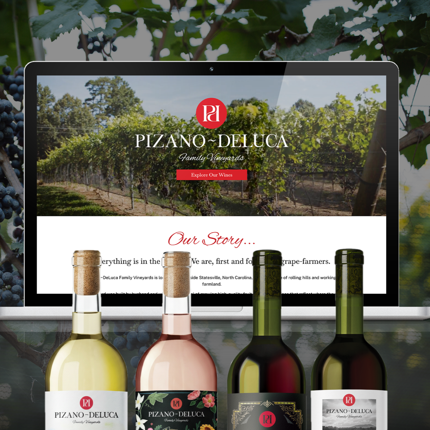 Pizano Deluca Family Vineyards