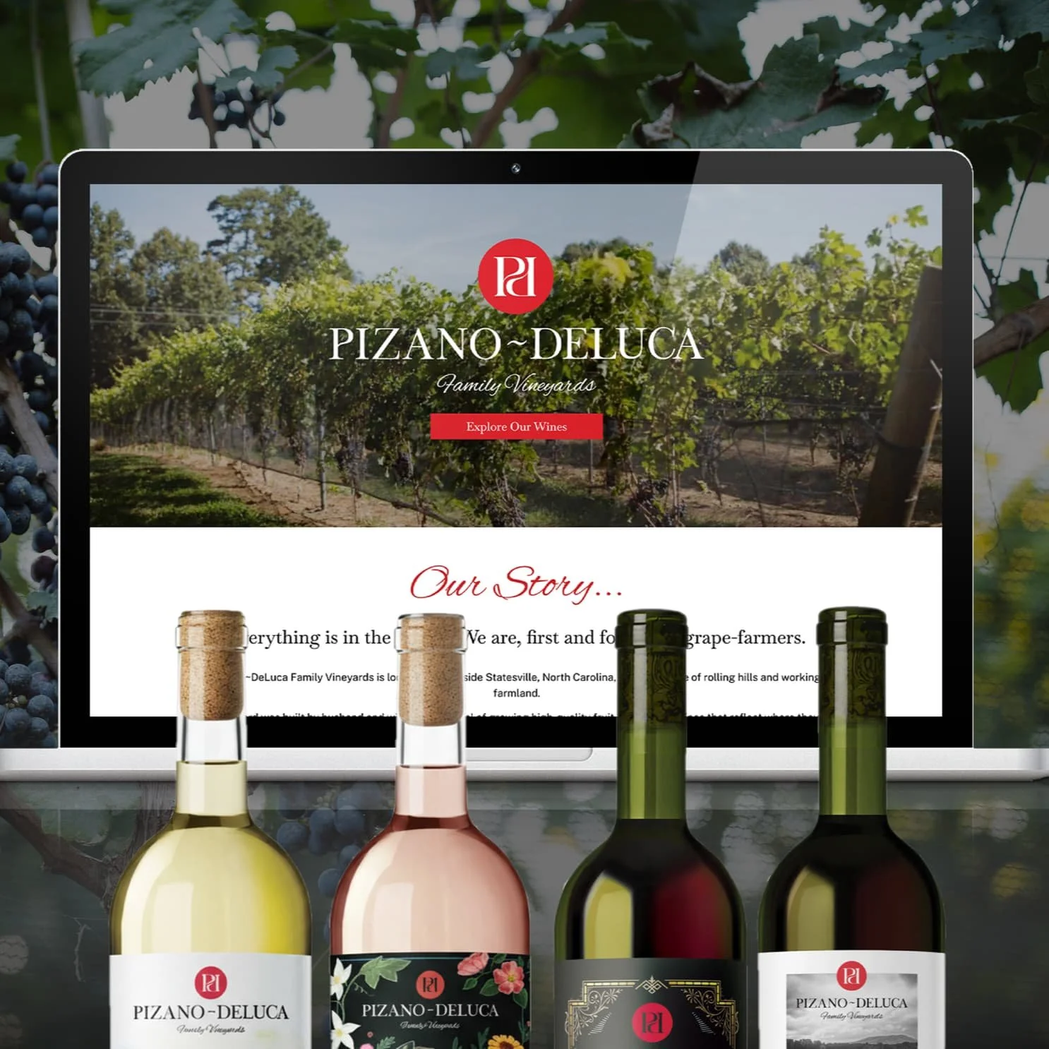 Pizano Deluca Family Vineyards