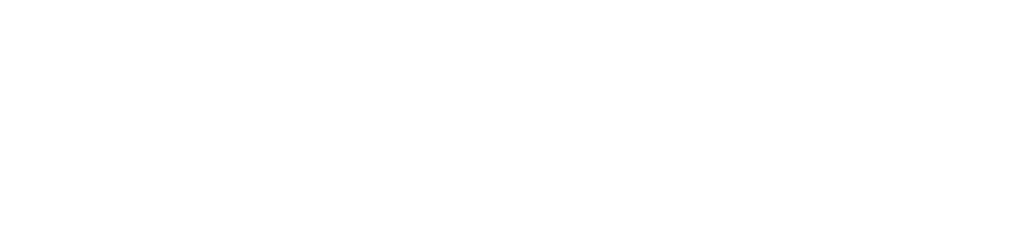 Ferrari Capitol Advisors