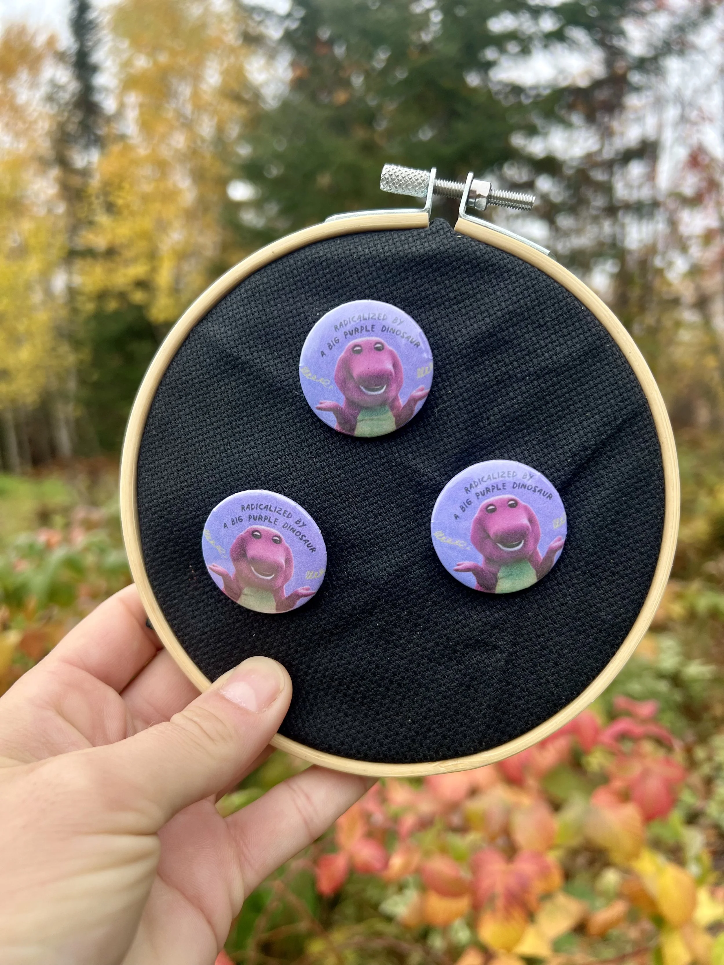 IMG_6653.jpeg