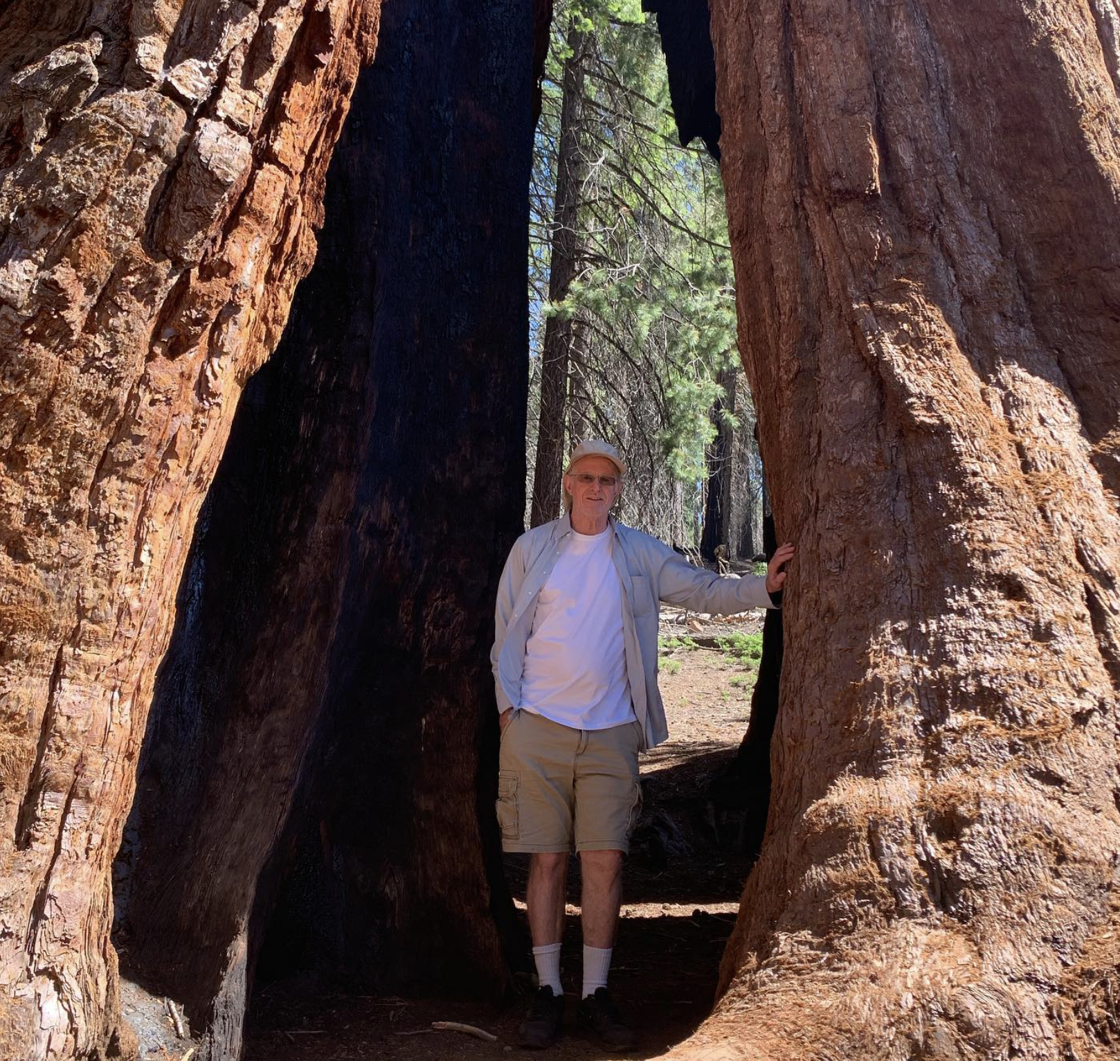 A man in a beige jacket, white shirt, shorts, and cap standing between two large, weathered redwood trees in a forest. He is smiling and leaning against the tree on his right.