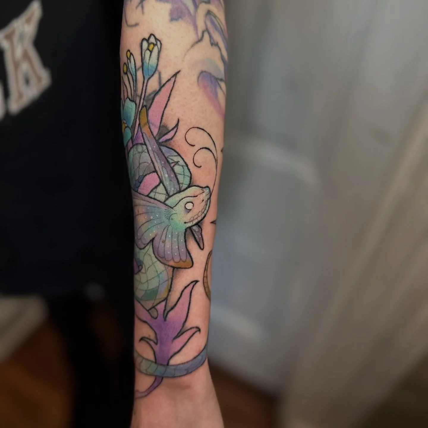 ✦ color ✦