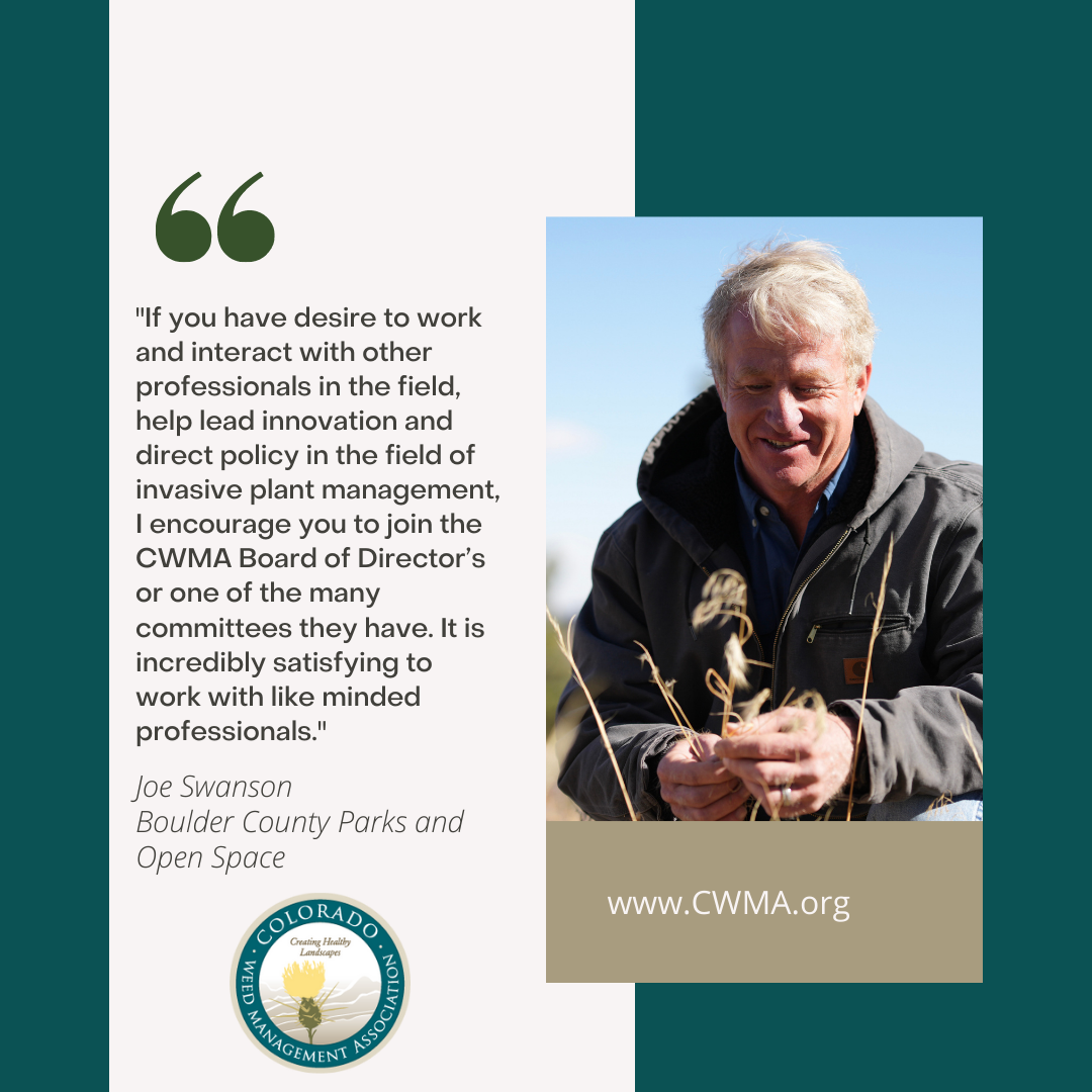 Joe Swanson testimonial, outdoors, smiling, holding grass plants, with a light blue sky behind him.