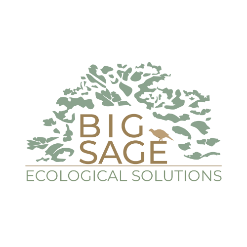 Big Sage Ecological Solutions.png