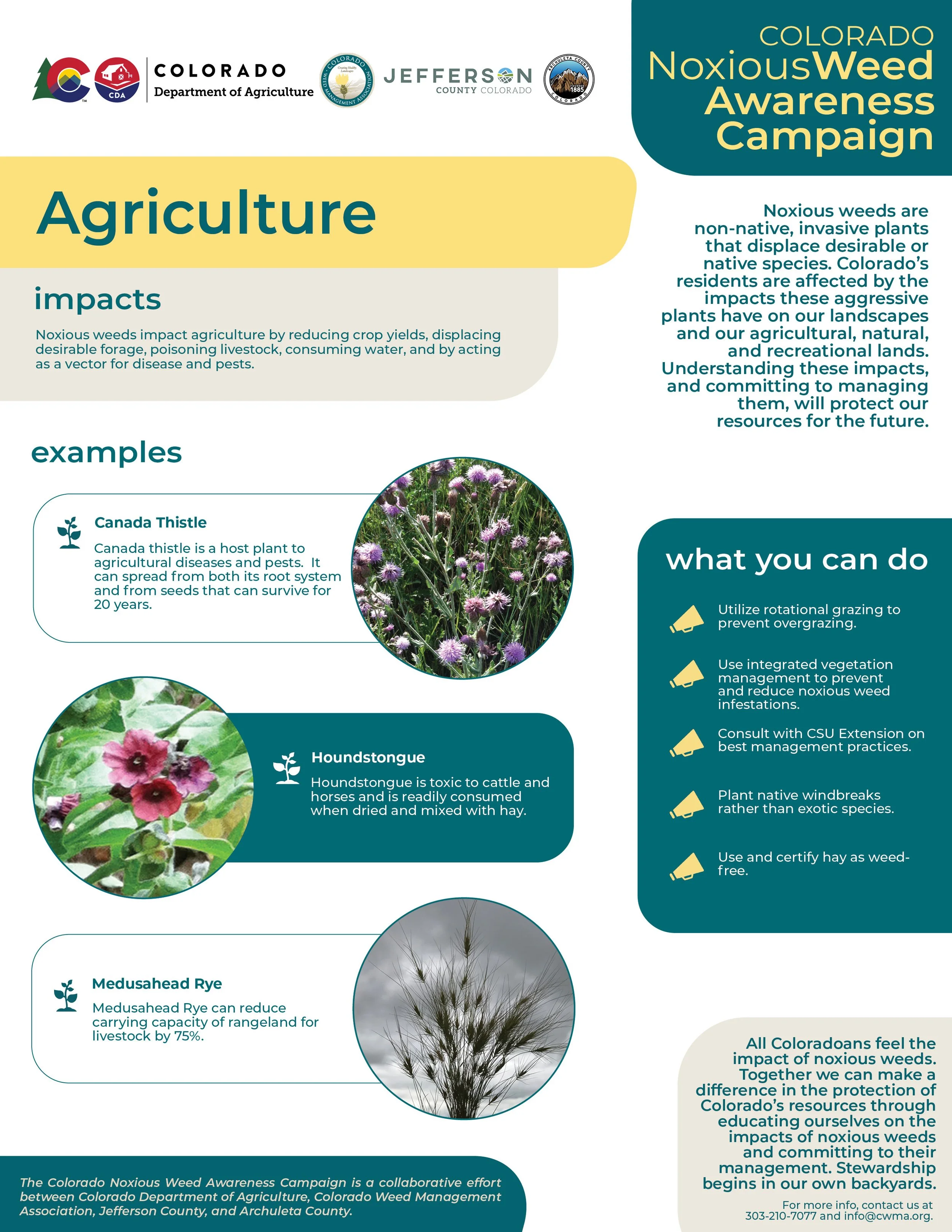 Blurb 3 - Agriculture_8.5x11in_final.jpg