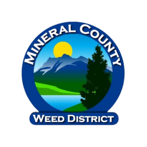 Mineral County Noxious Weeds.png
