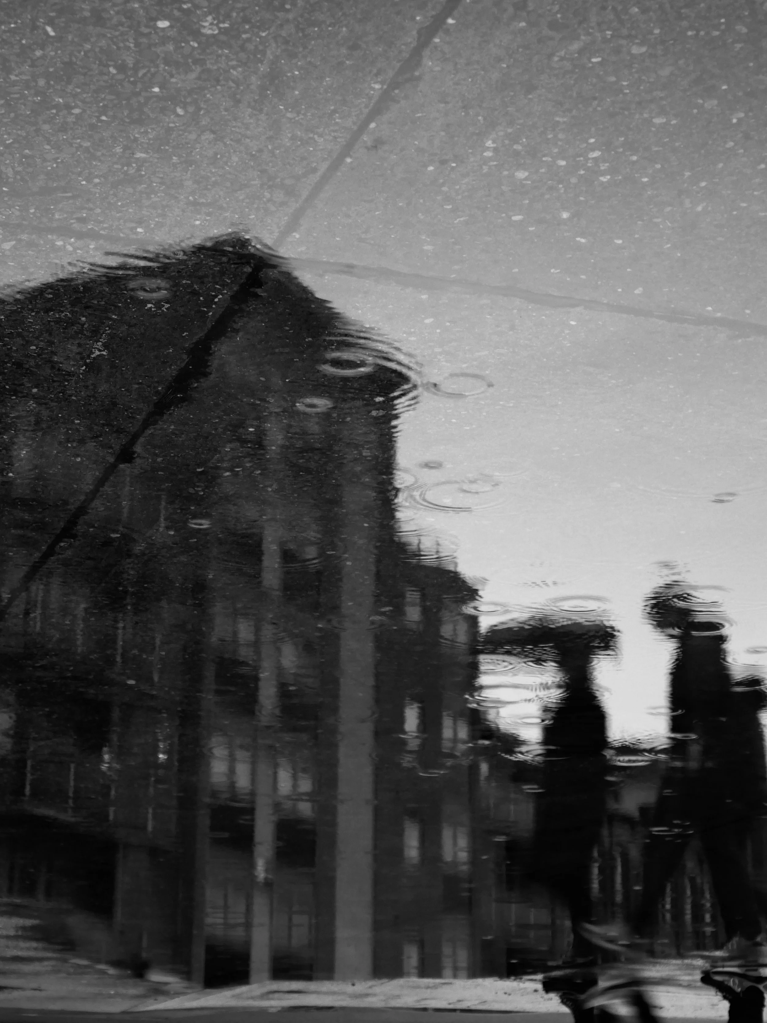 Jessop Street Reflection 2