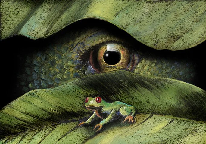 THE LIZARDS EYE_FINAL.jpg