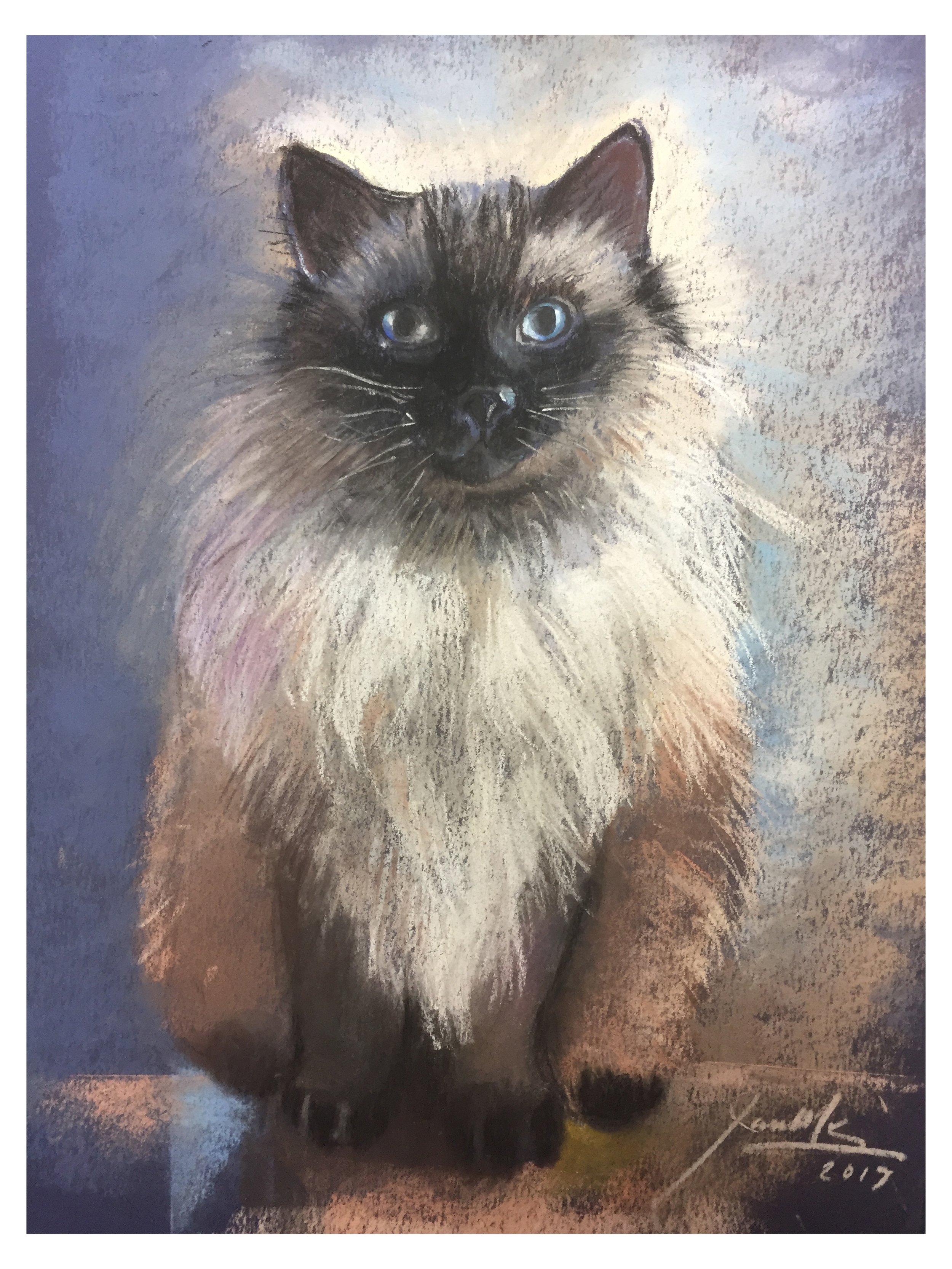 CHRIS COMMISSION.jpg