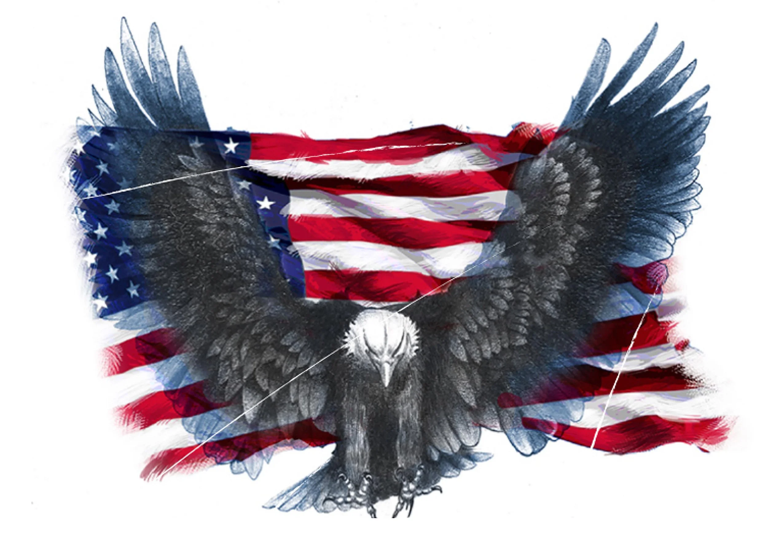 EAGLE:FLAG ART.jpg
