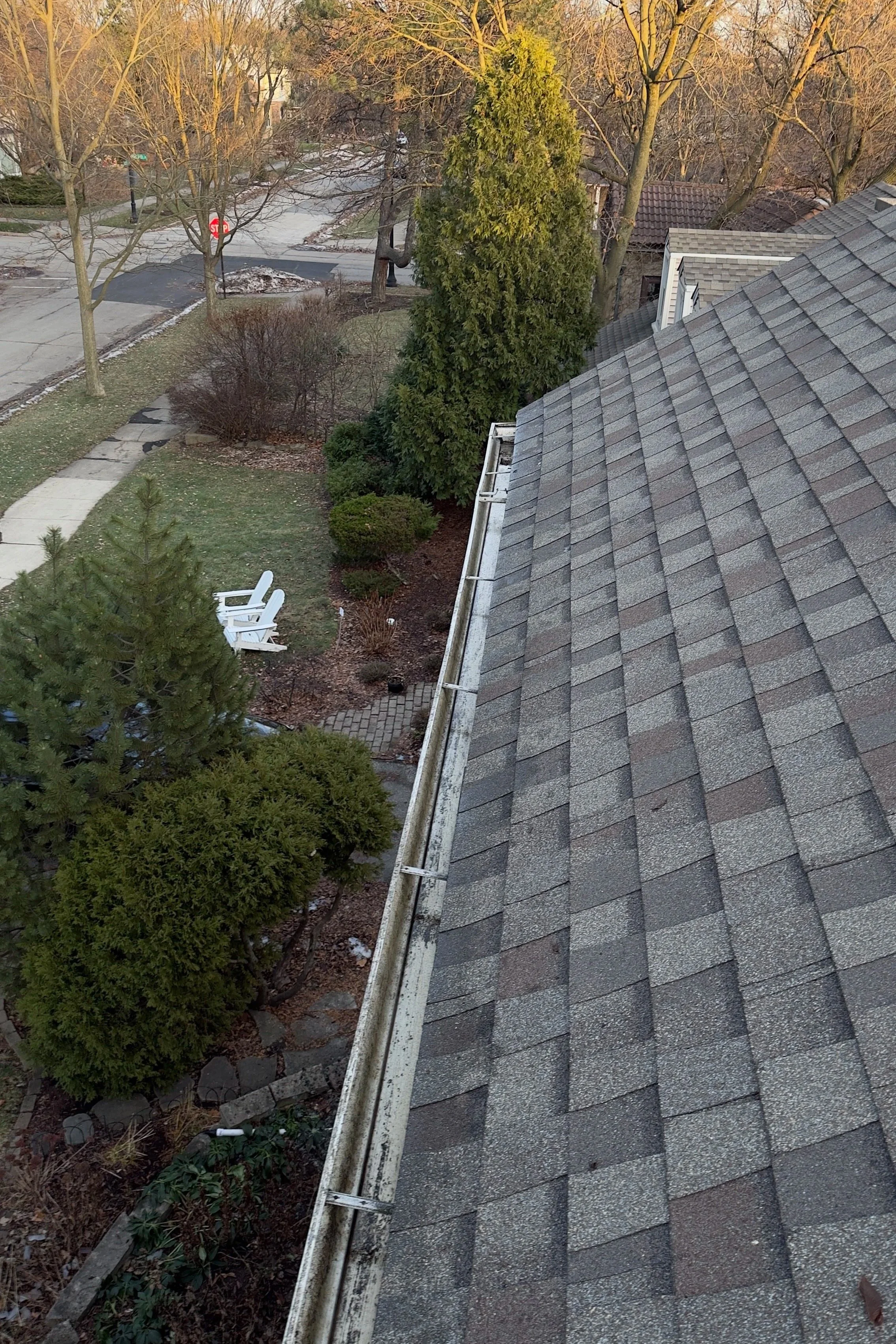 gutter cleaning