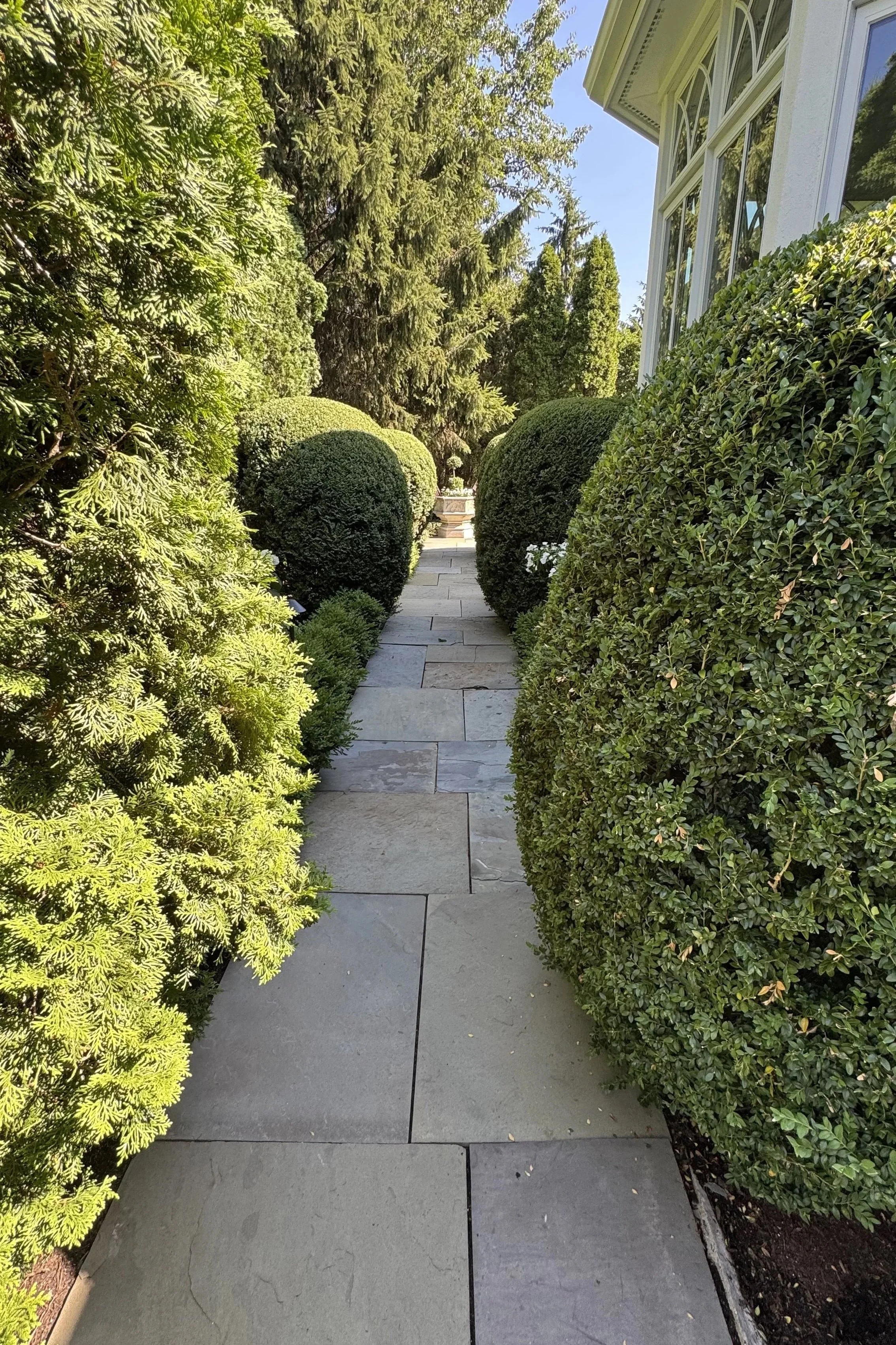 sidewalk power washing