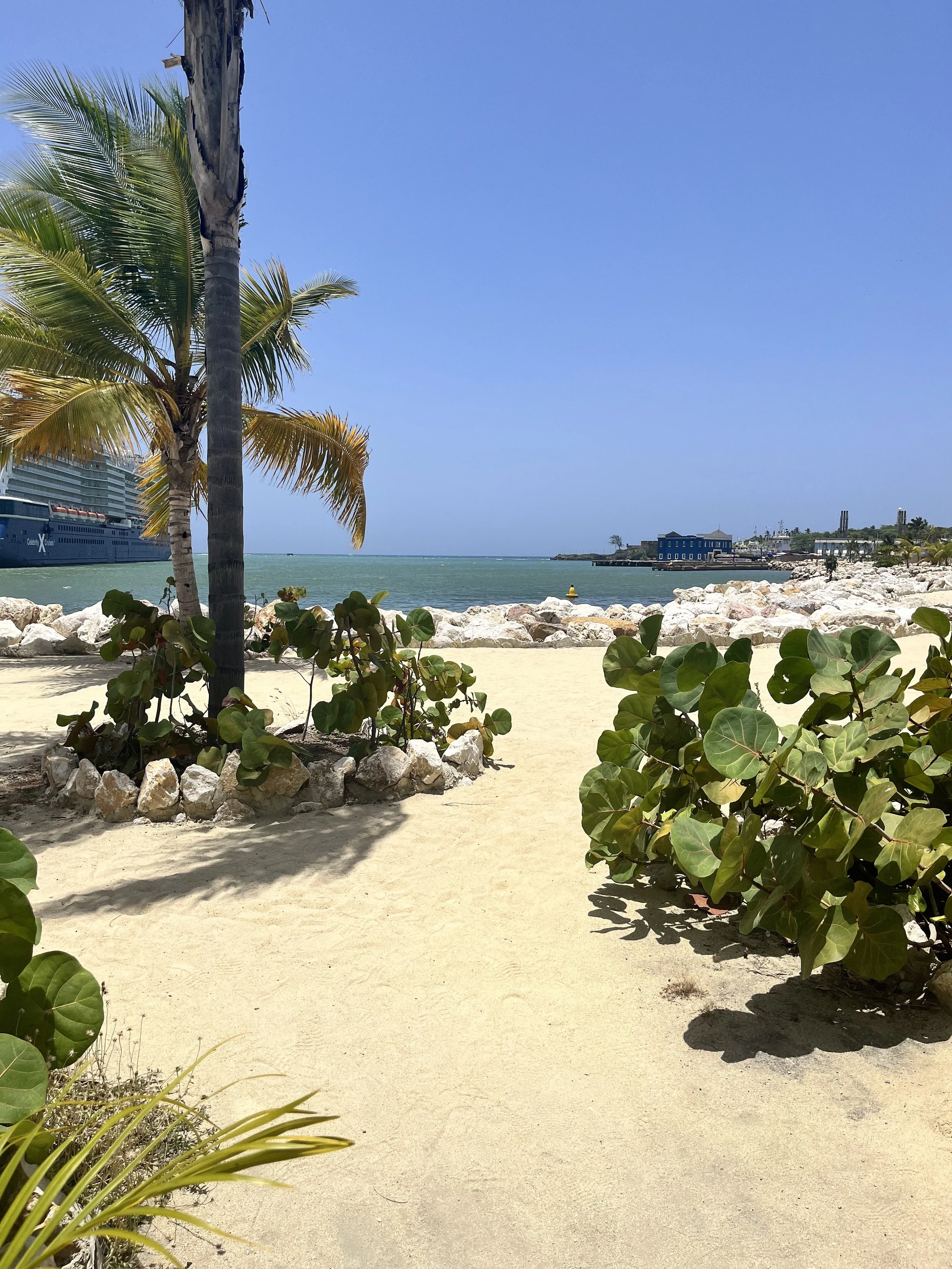 Sandy beach with a palm tree on the left and green bushes on the right, rocky shoreline, calm turquoise water, clear blue sky, and buildings in the distance.