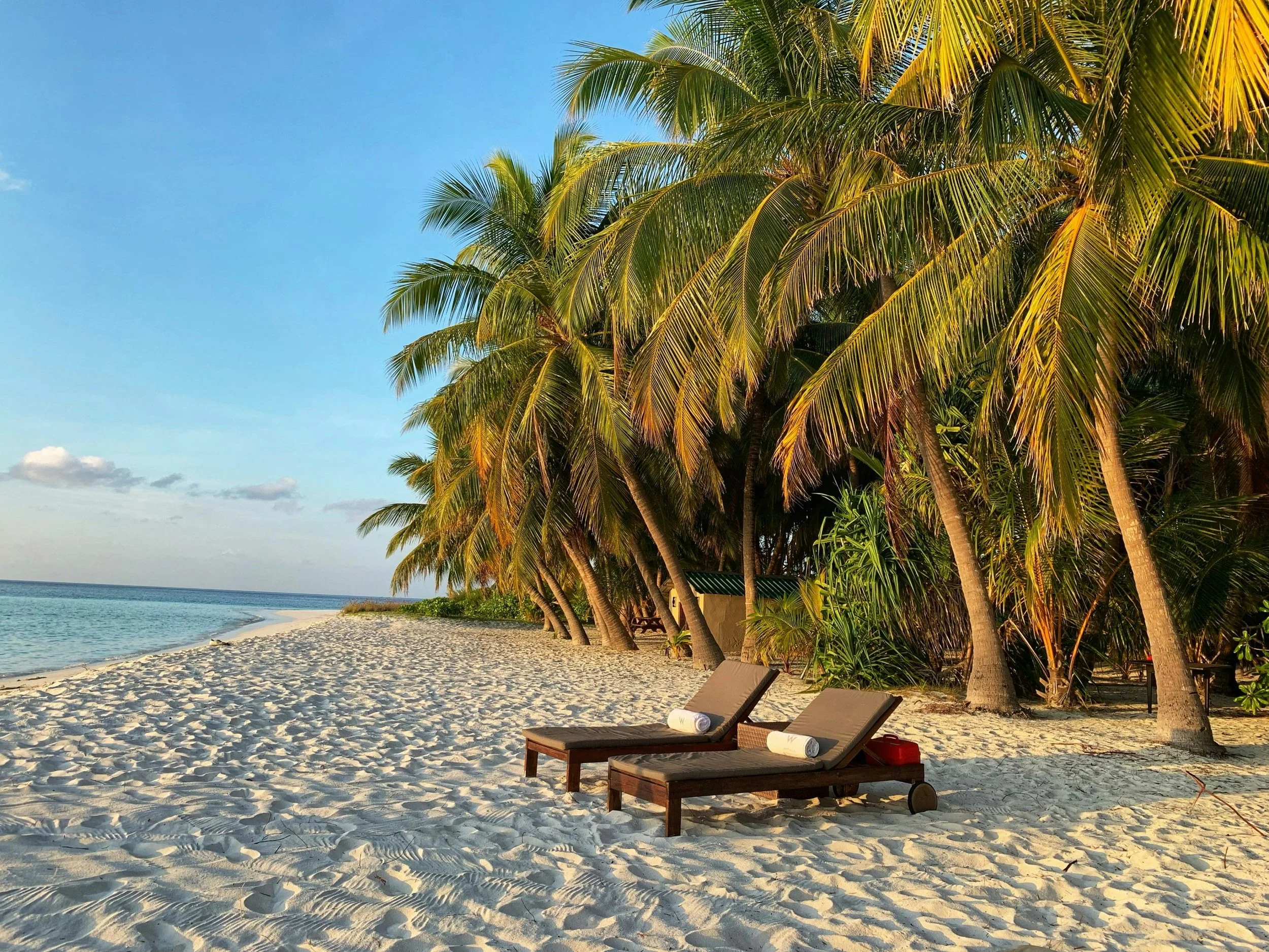 Two lounge chairs with rolled towels on sandy beach near palm trees with ocean in background, under a clear blue sky