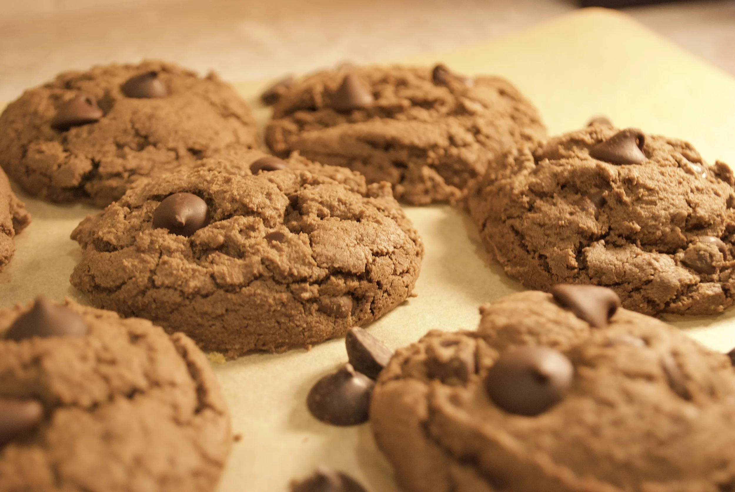 Double Chocolate Chip