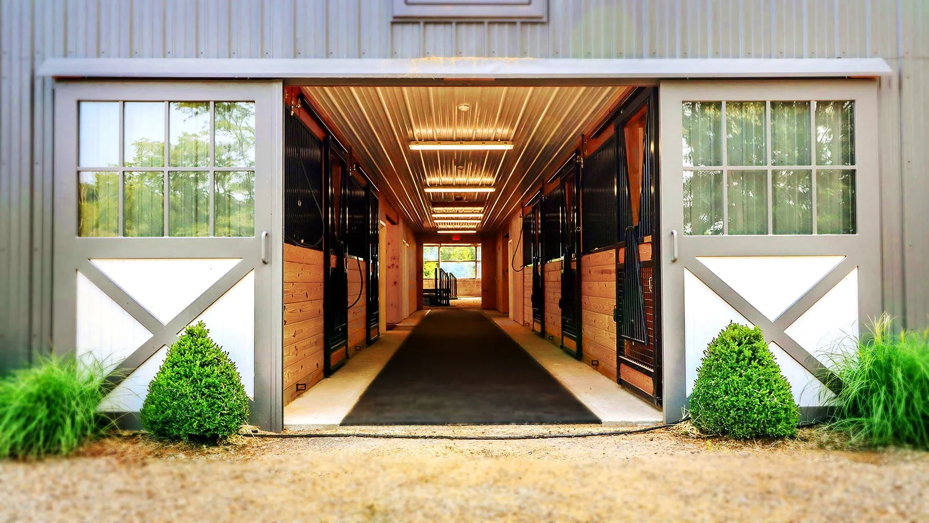 Inside a horse stable with a black carpeted aisle, wooden stalls on either side, and fluorescent ceiling lights, with large windows at the end and greenery outside.
