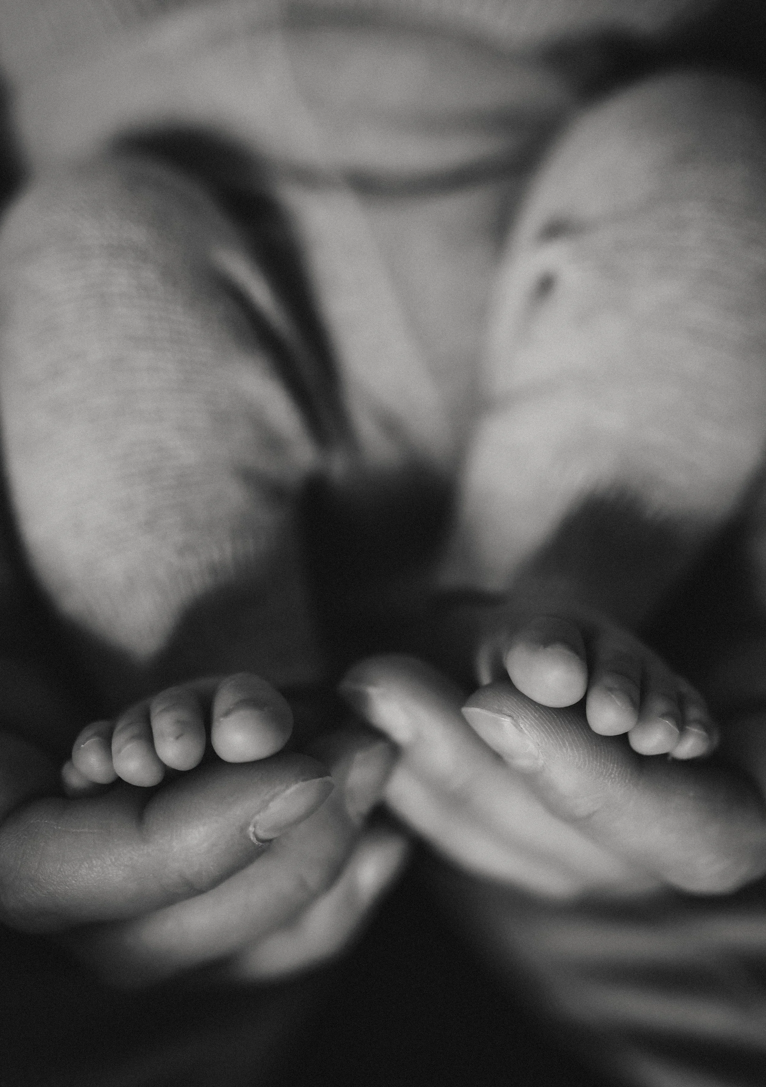 2025_Familie Schef-162.jpg