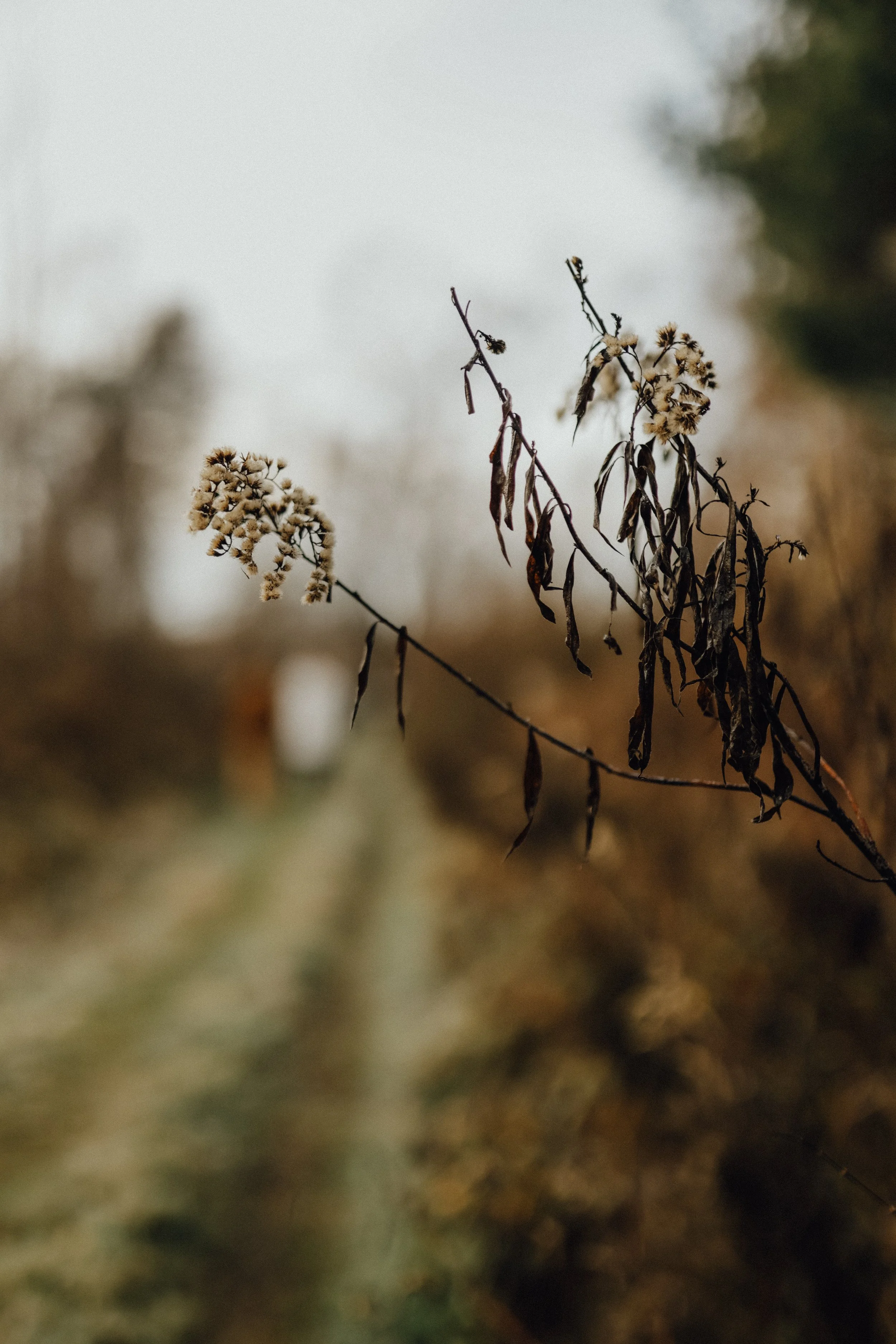 2025_Familie Reichert-49.jpg