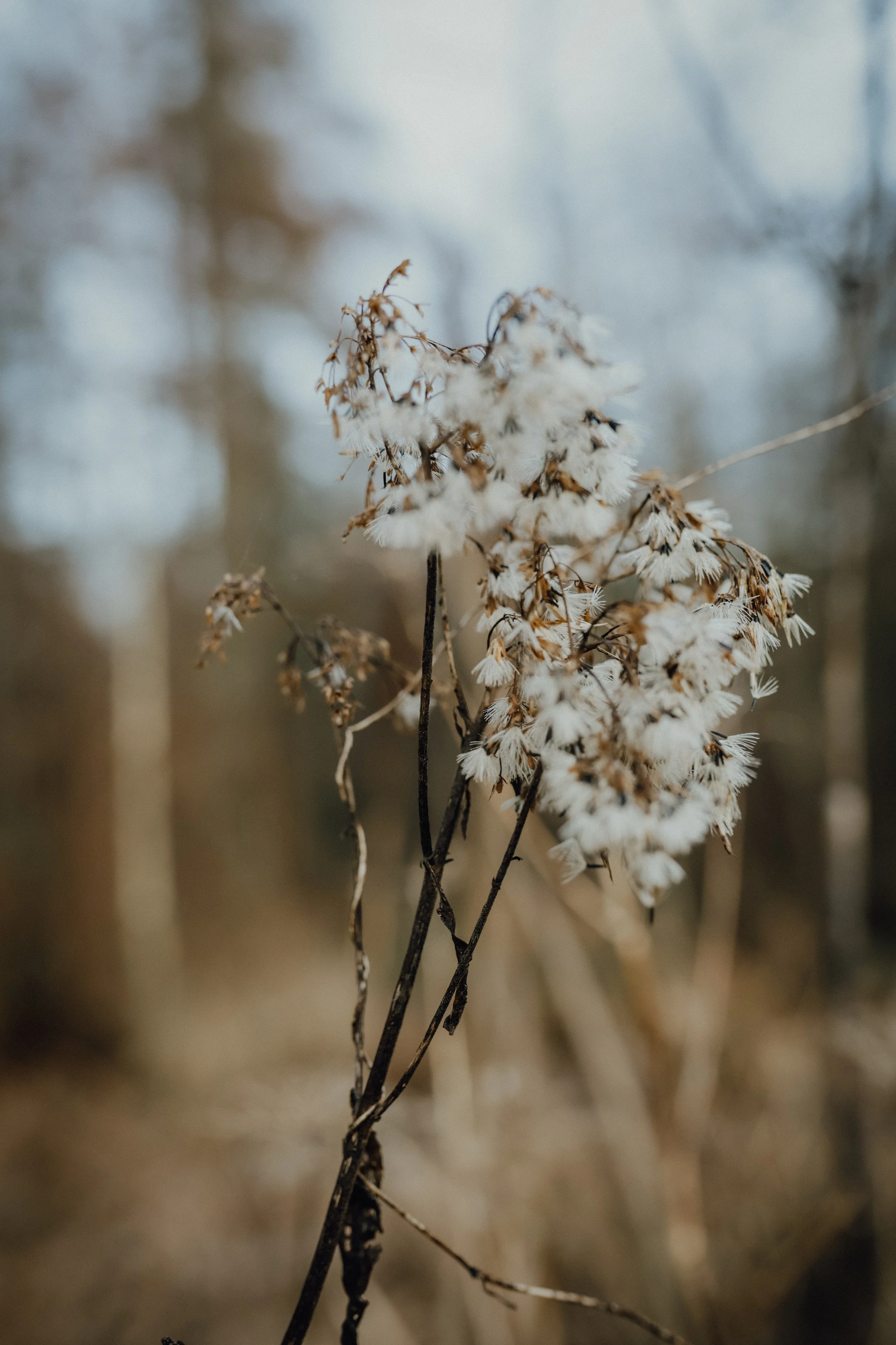 2025_Familie Reichert-2.jpg