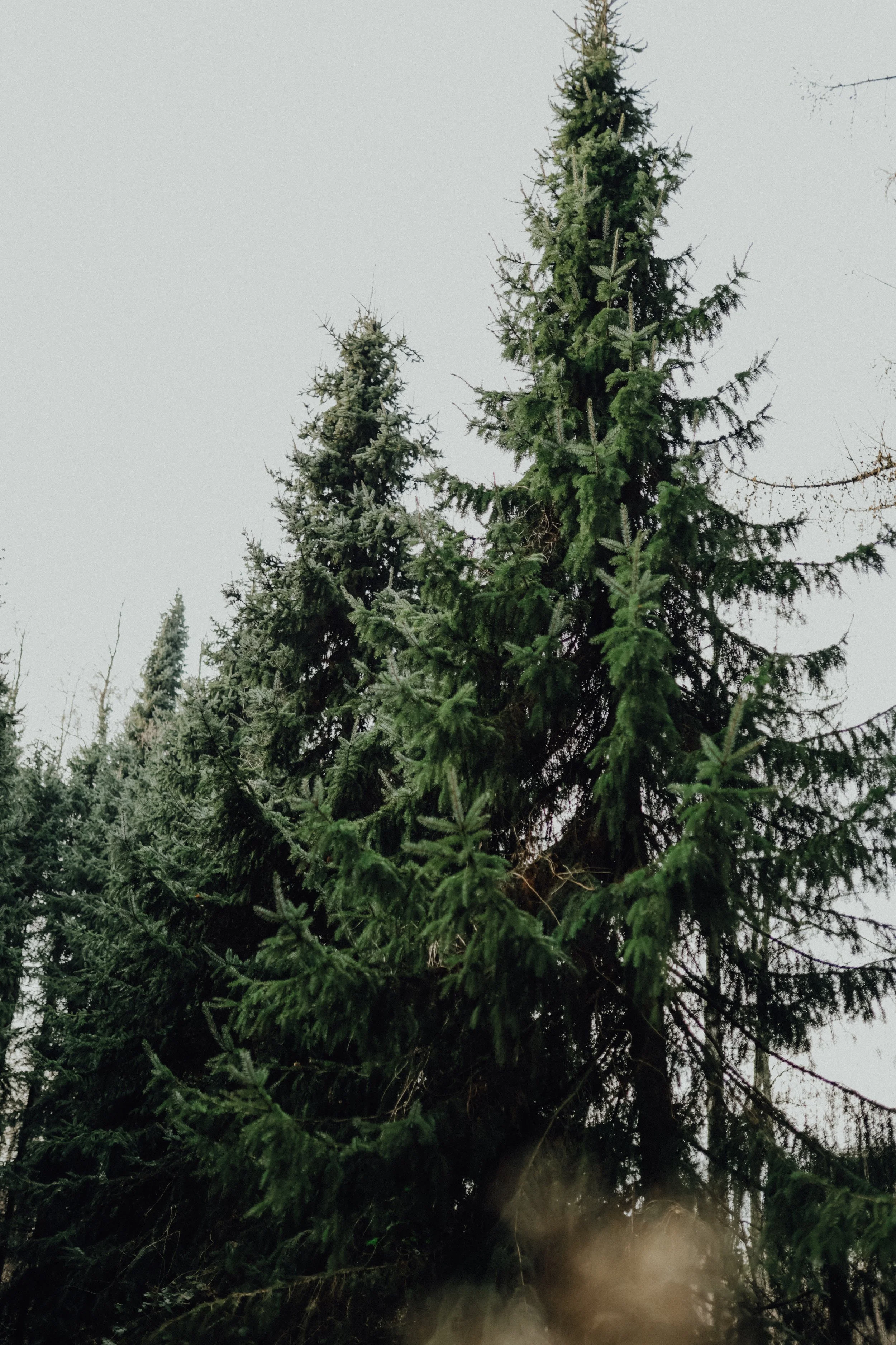 2025_Familie Reichert-39.jpg