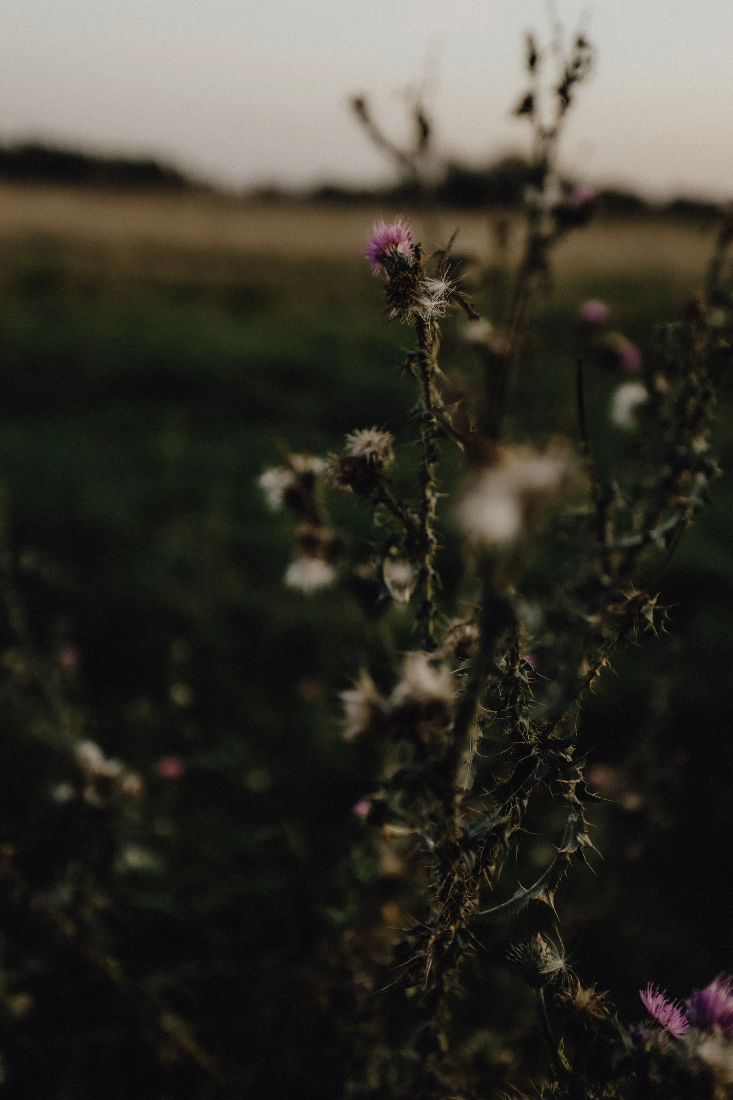 Anton & Adelina 2020-323.jpg