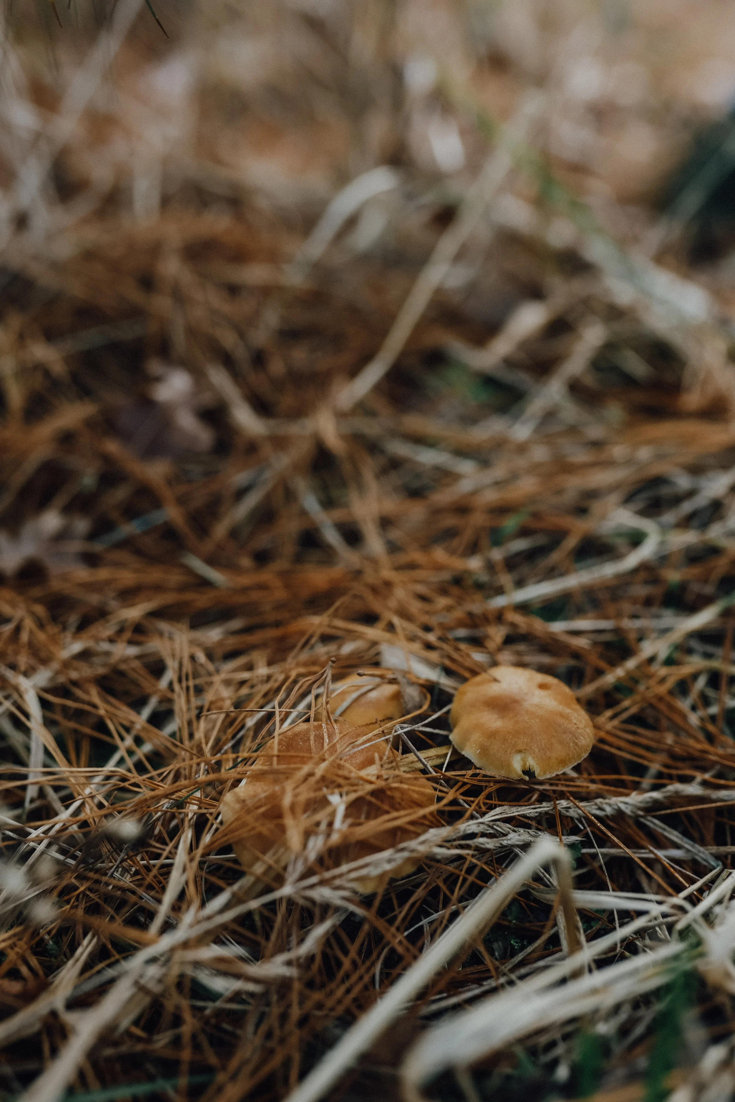 2025_Familie Reichert-26.jpg