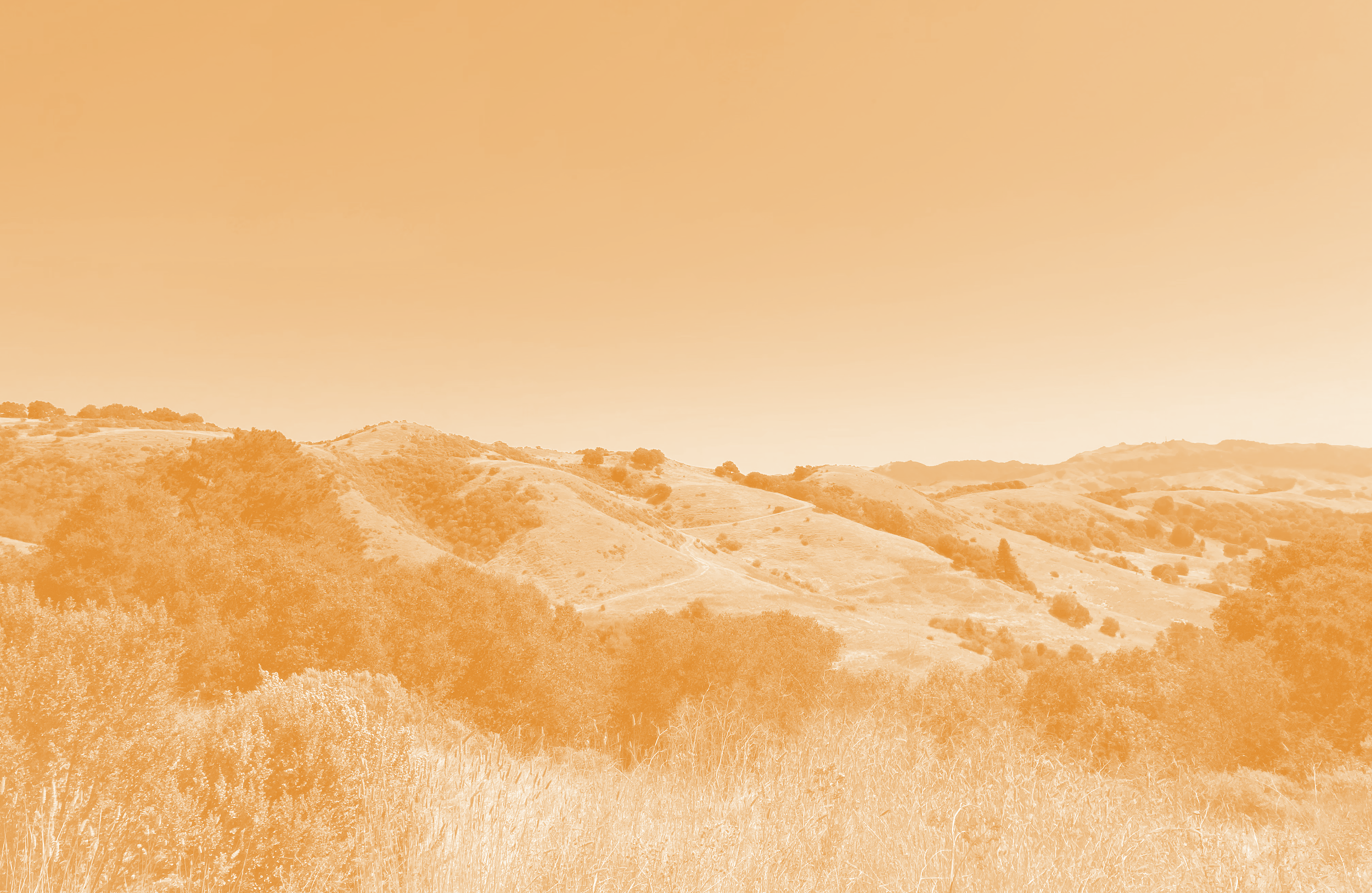 Movement Generation + Sogorea Te’ Land Trust