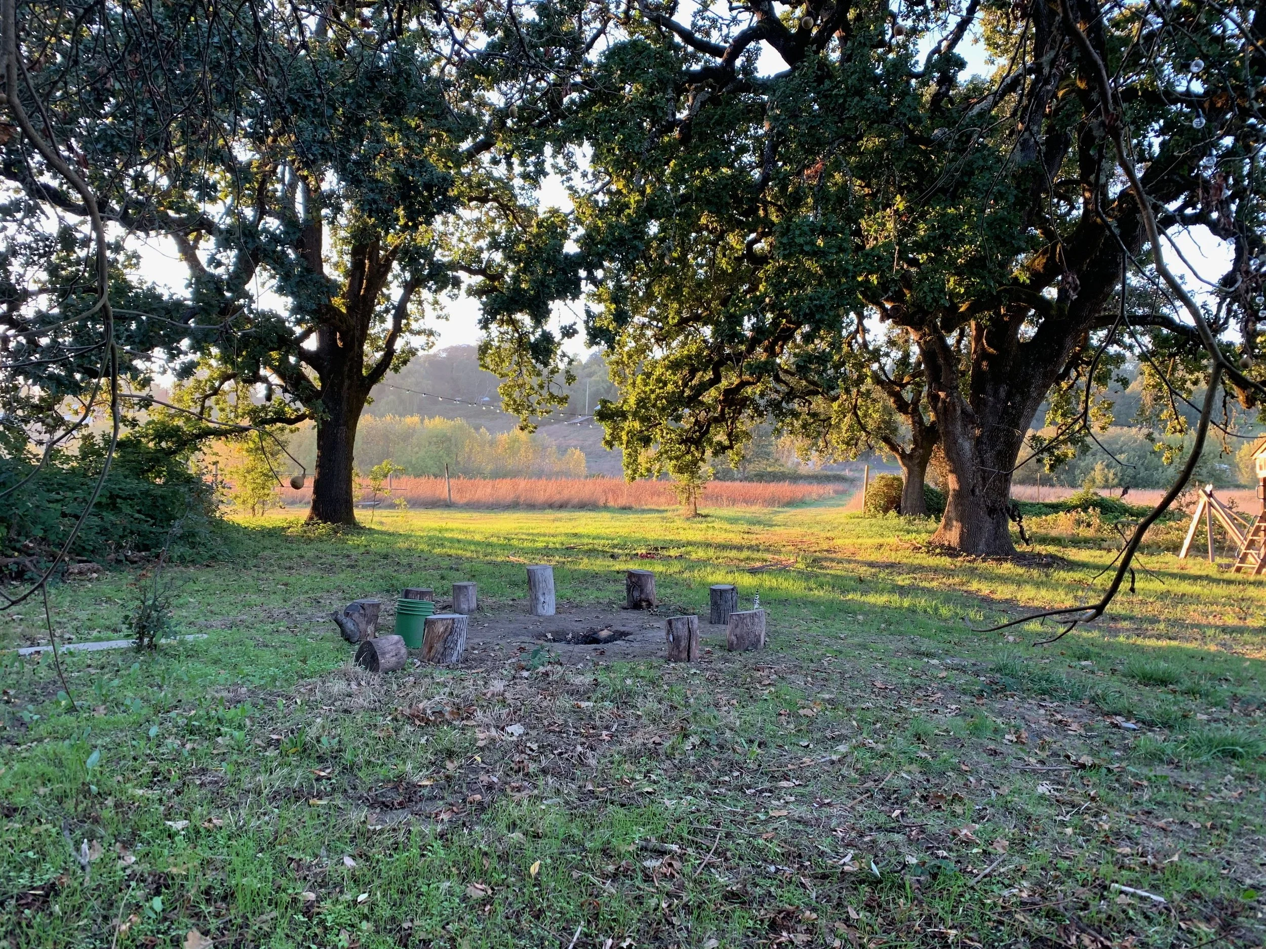 Welcome to The Center for Ethical Land Transition