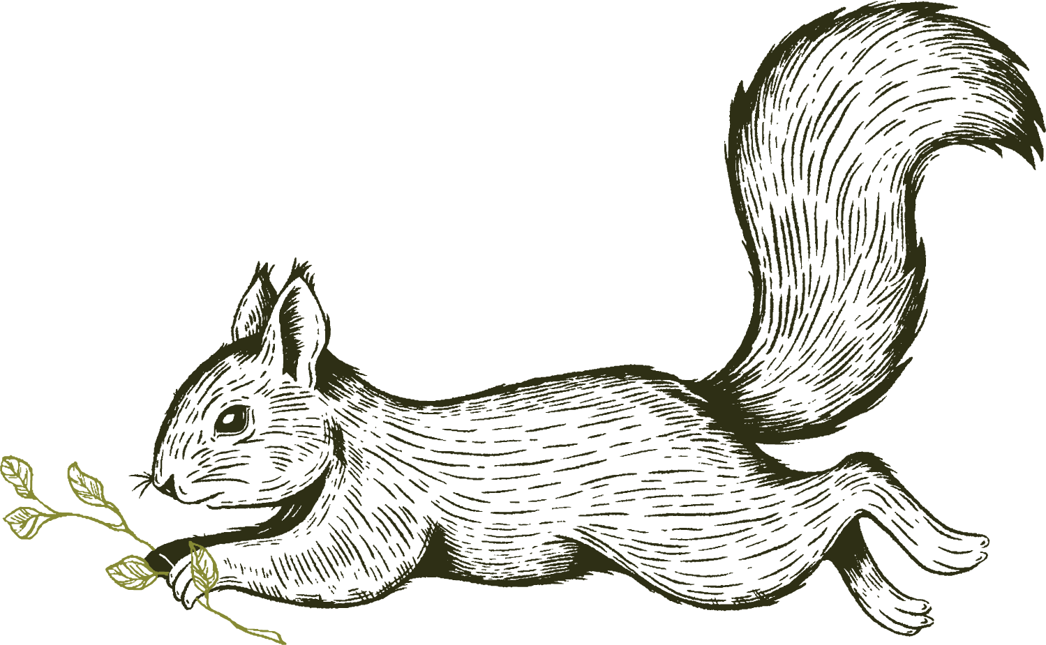 Louis the squirrel running with stem