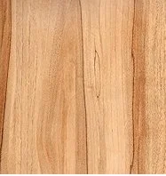 canadian maple.jfif