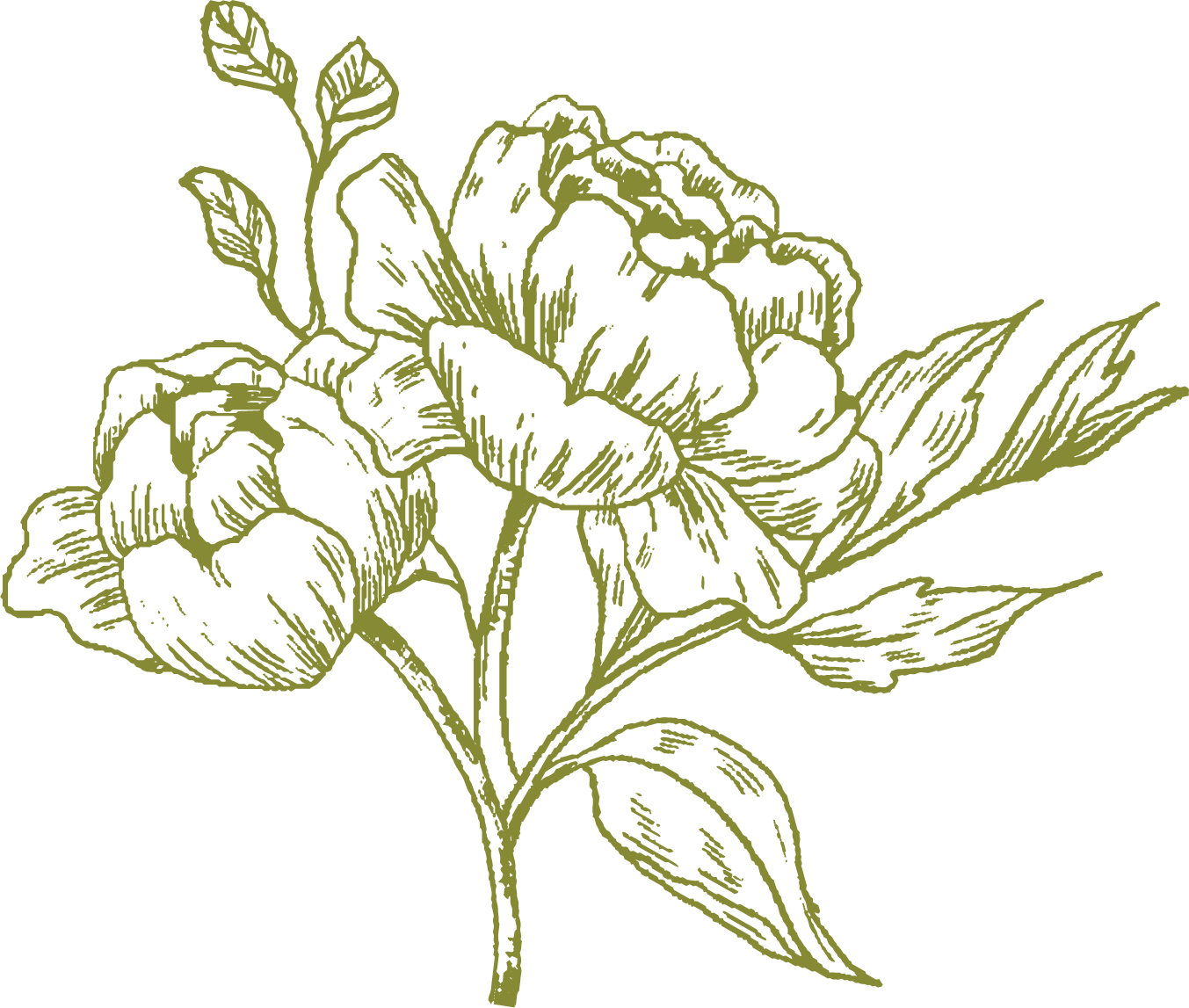 hand drawn floral bouquet