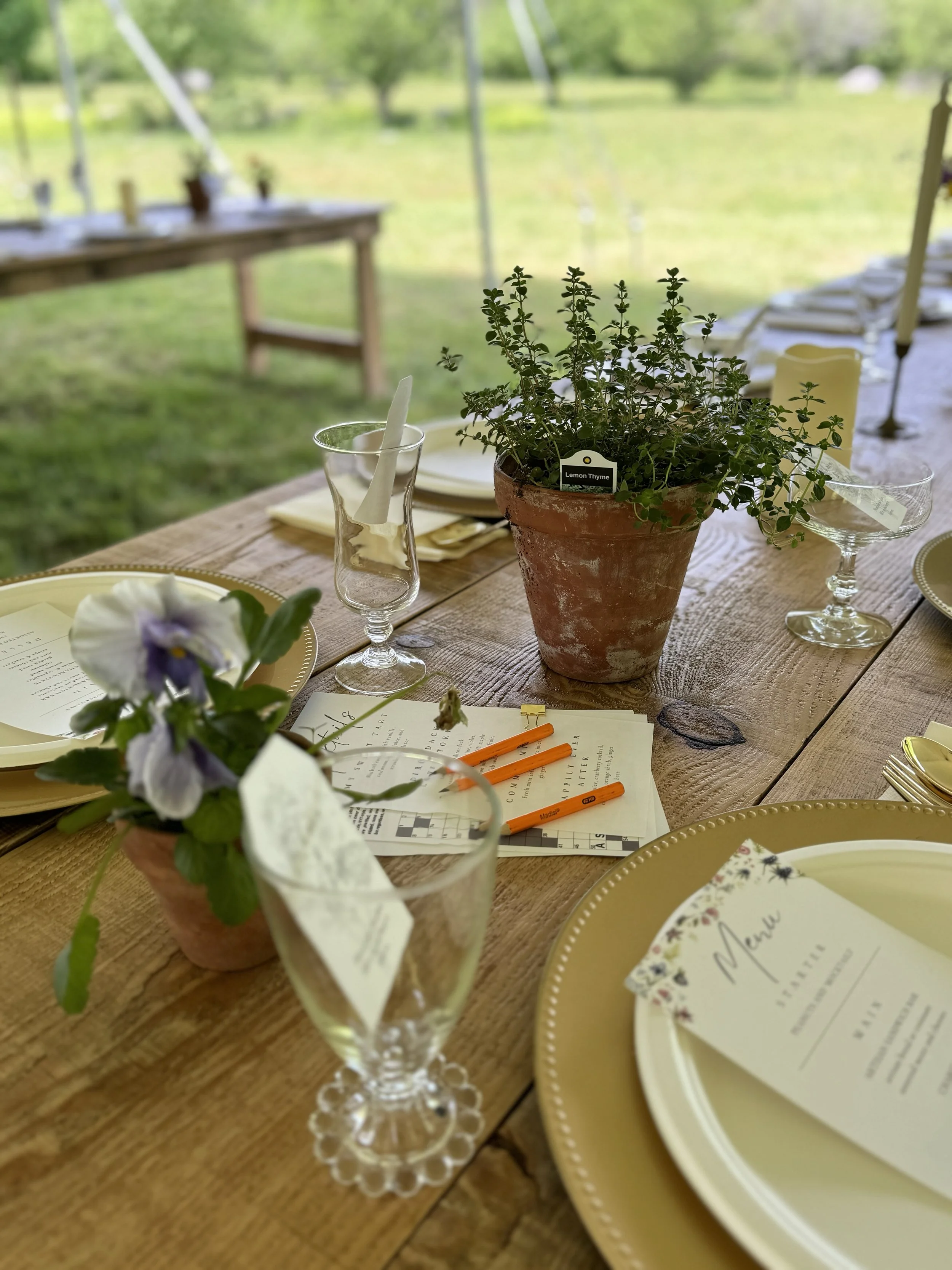 tablescape with potted herb and pansies