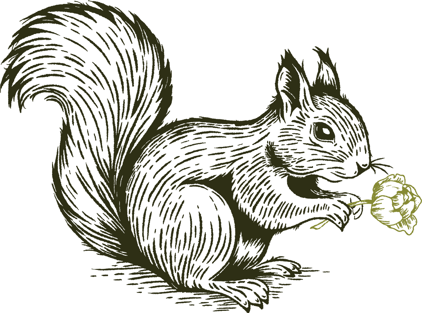 Louis the Squirrel holding flower stem